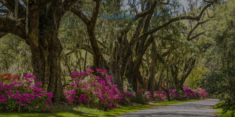🌴 Hello May: Charleston Events, Market Update &amp; What It Means for You (May 2026)
