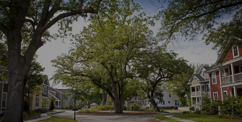 Tips for Buying a Healthy Palm Harbor Home