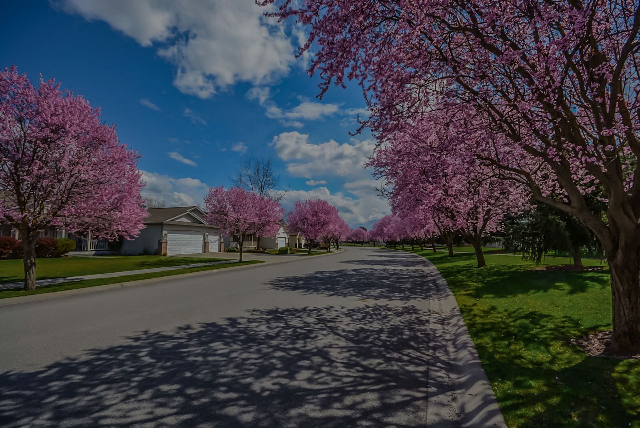 5 Things Every Buyer Absolutely Needs To Know About the Market