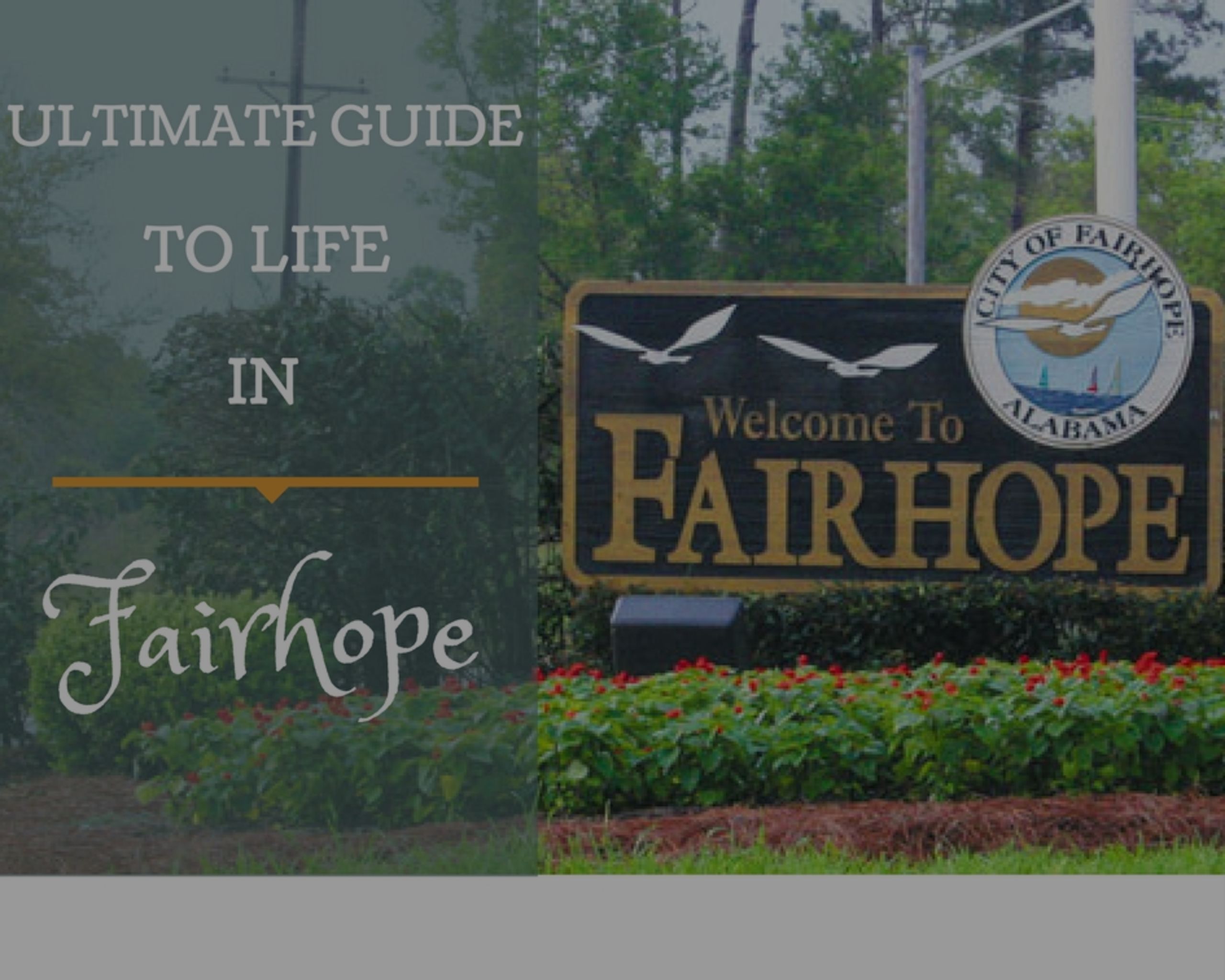Moving To Fairhope