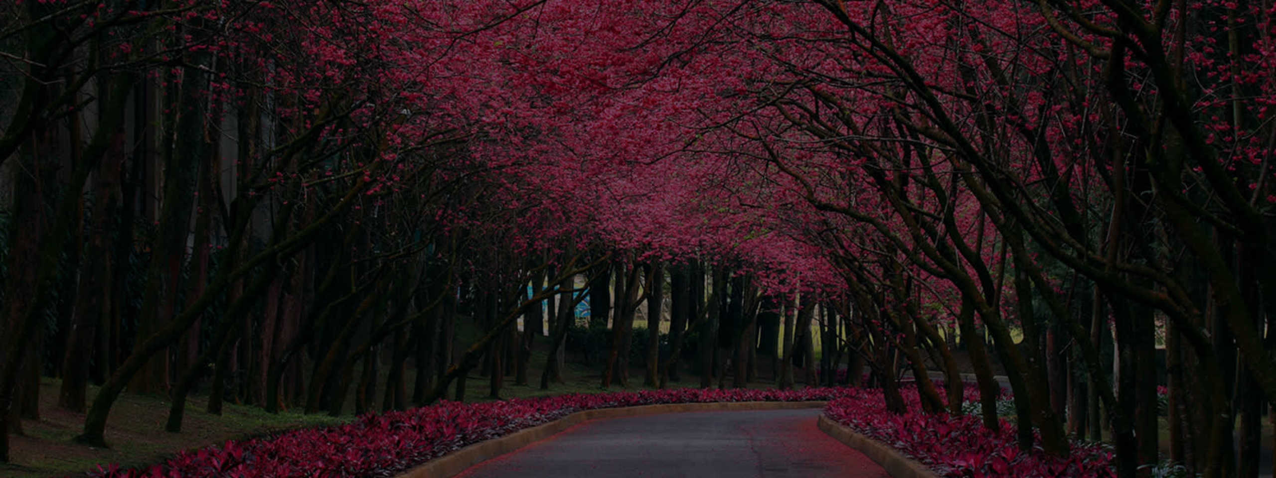 Exquisite scenes of nature