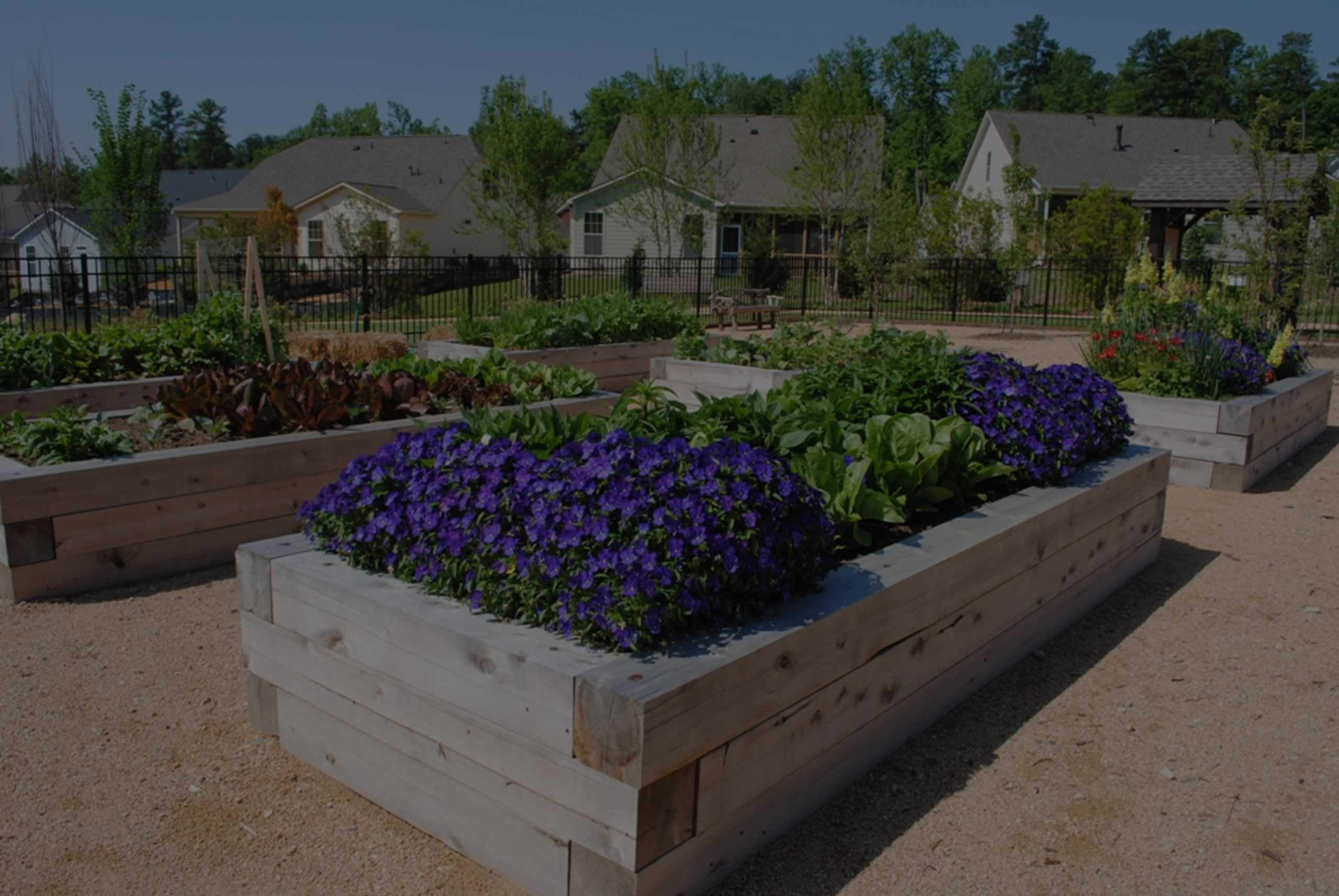 Community gardens, dog parks, sport courts & more!