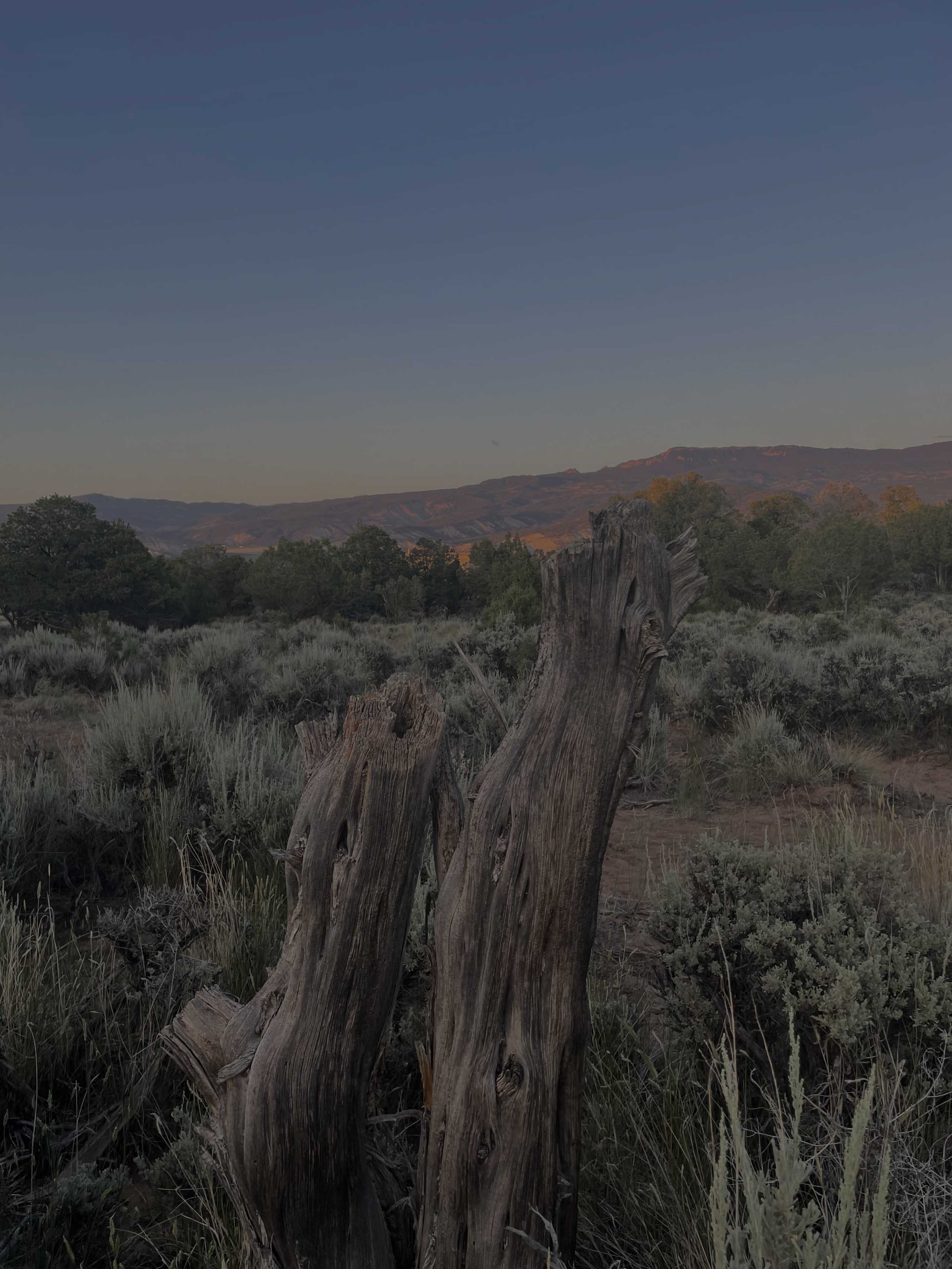 The beauty surrounds us.