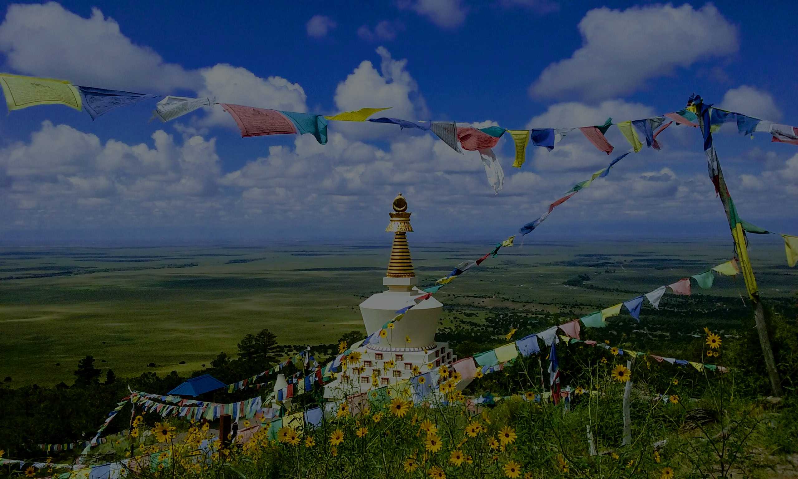 The Tashi Gomang Stupa