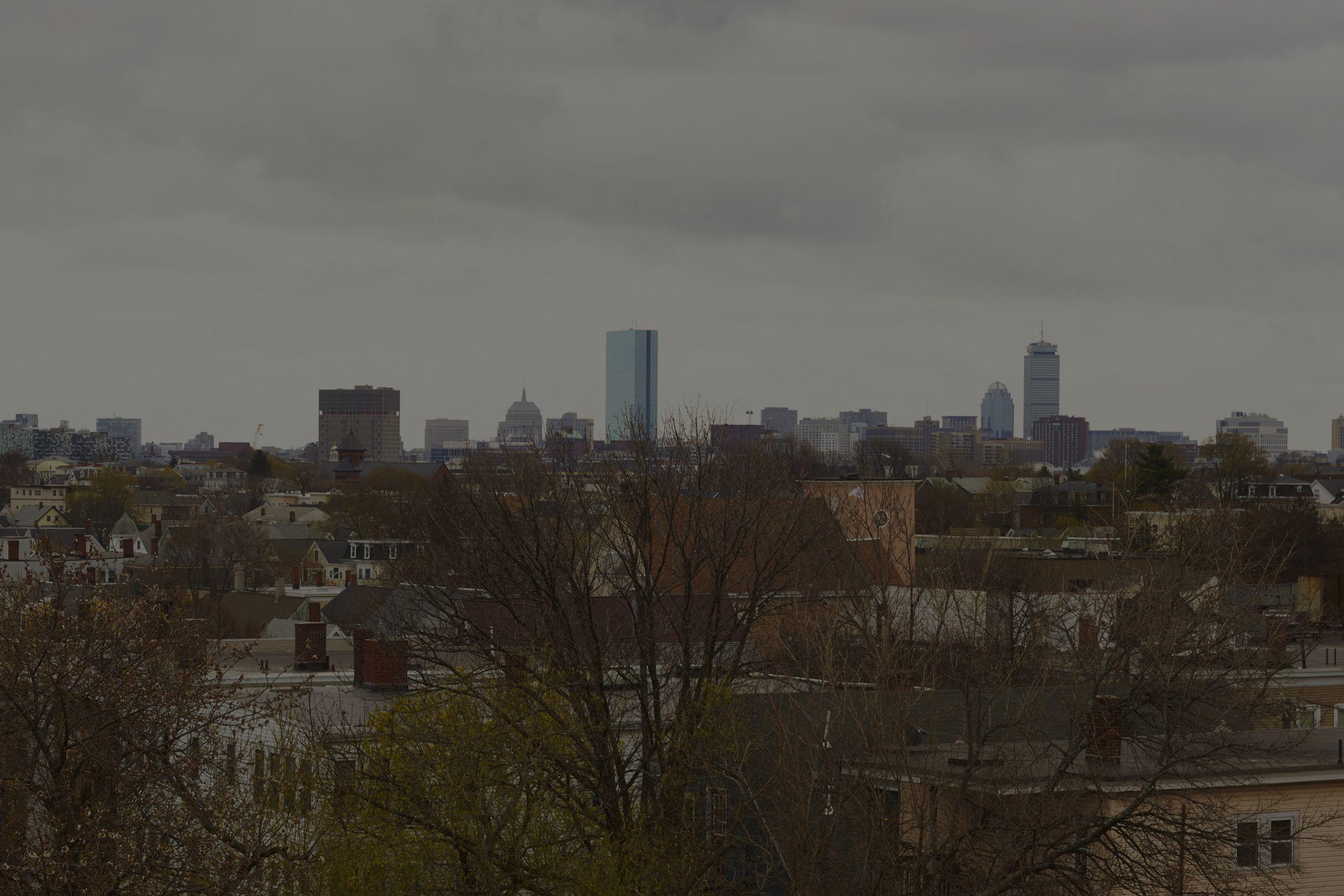 Winter Hill Neighborhood Guide Branch Out Realty