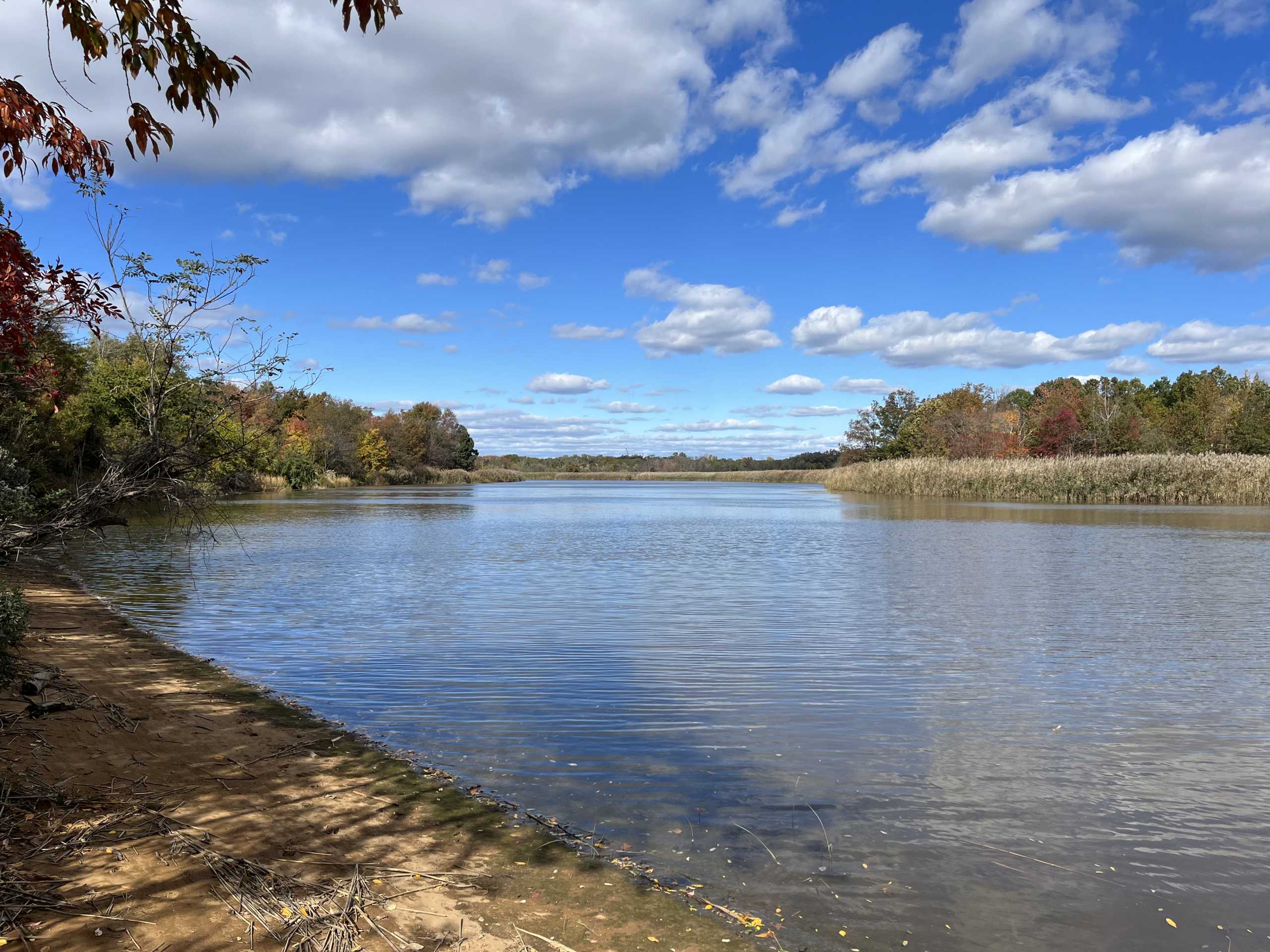 The South River