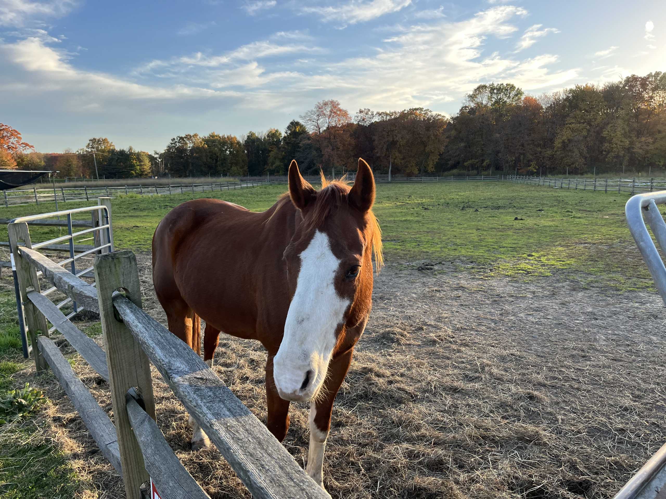 East Brunswick Farm