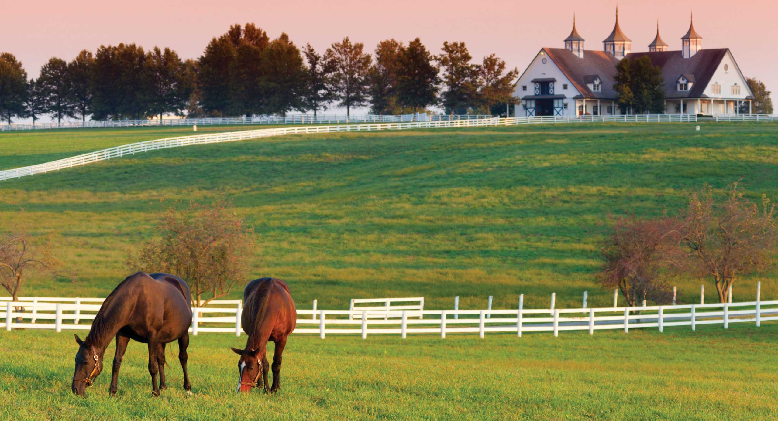 Experience The Beauty of The Bluegrass State