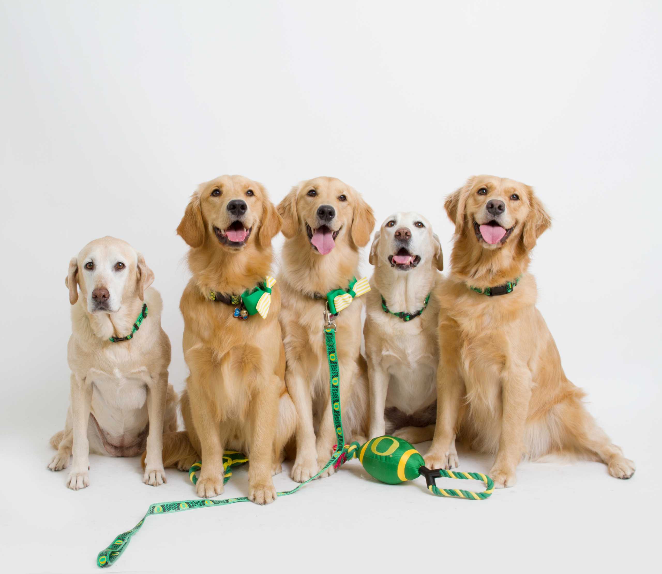 We Make Transactions Golden! (Sweetie, Tate, Mason, Sadie & Ivy)