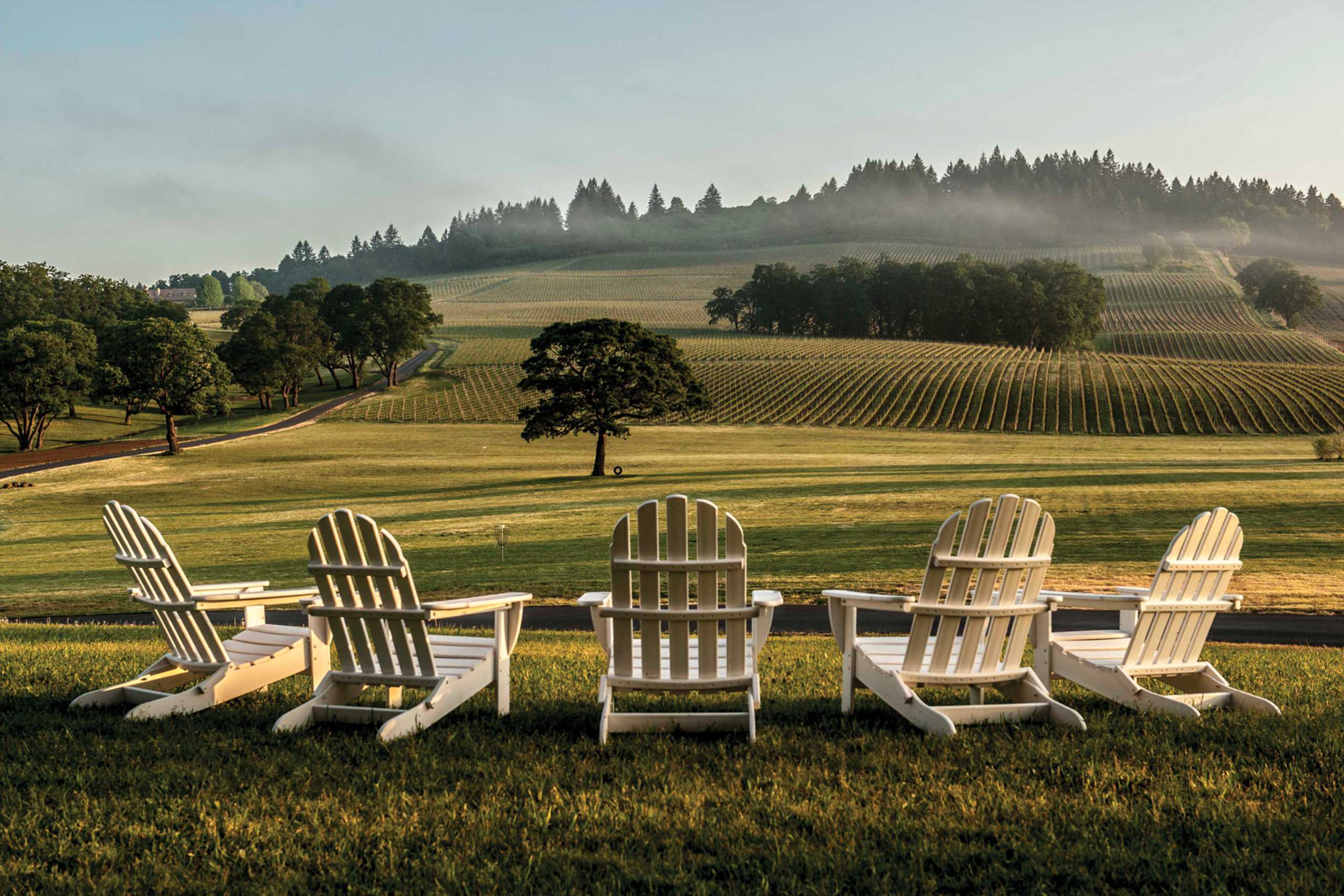 Beautiful Willamette Valley, home to some 500 wineries