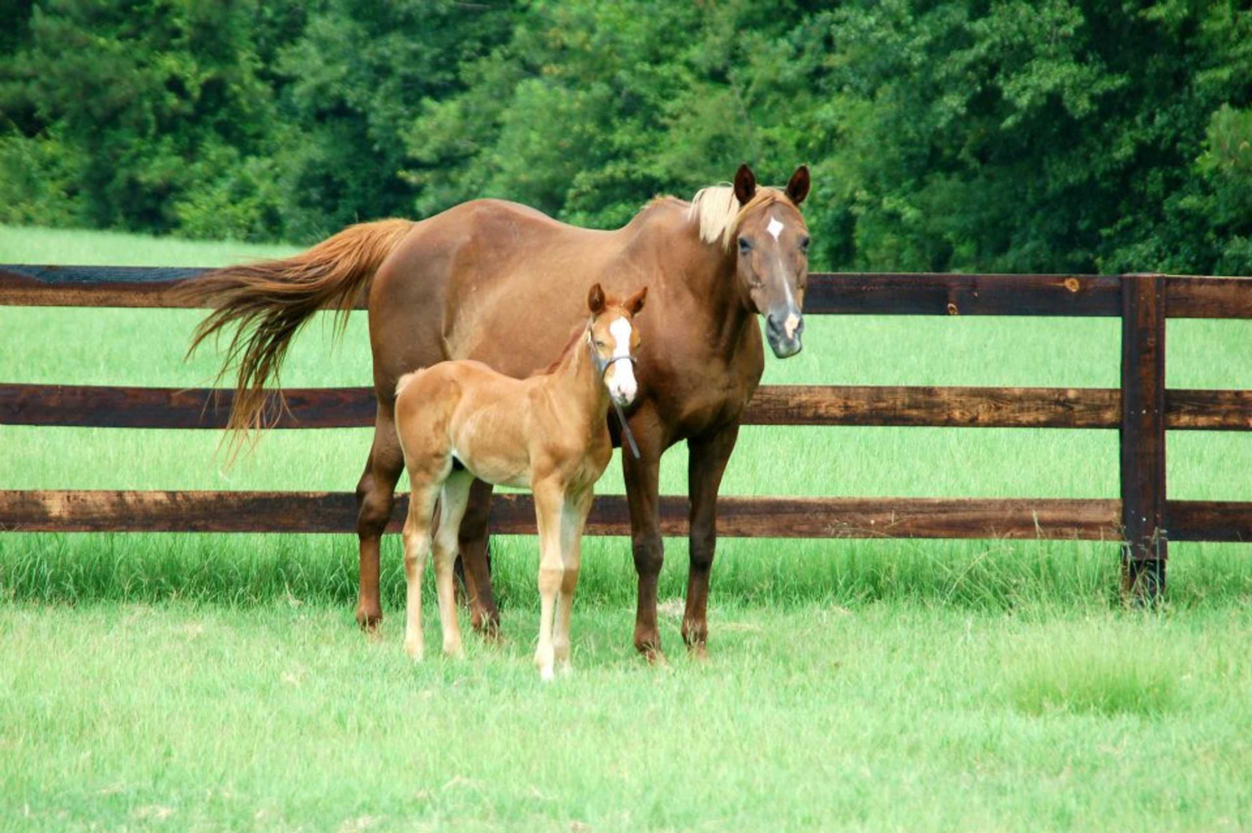 Beautiful properties with amazing views