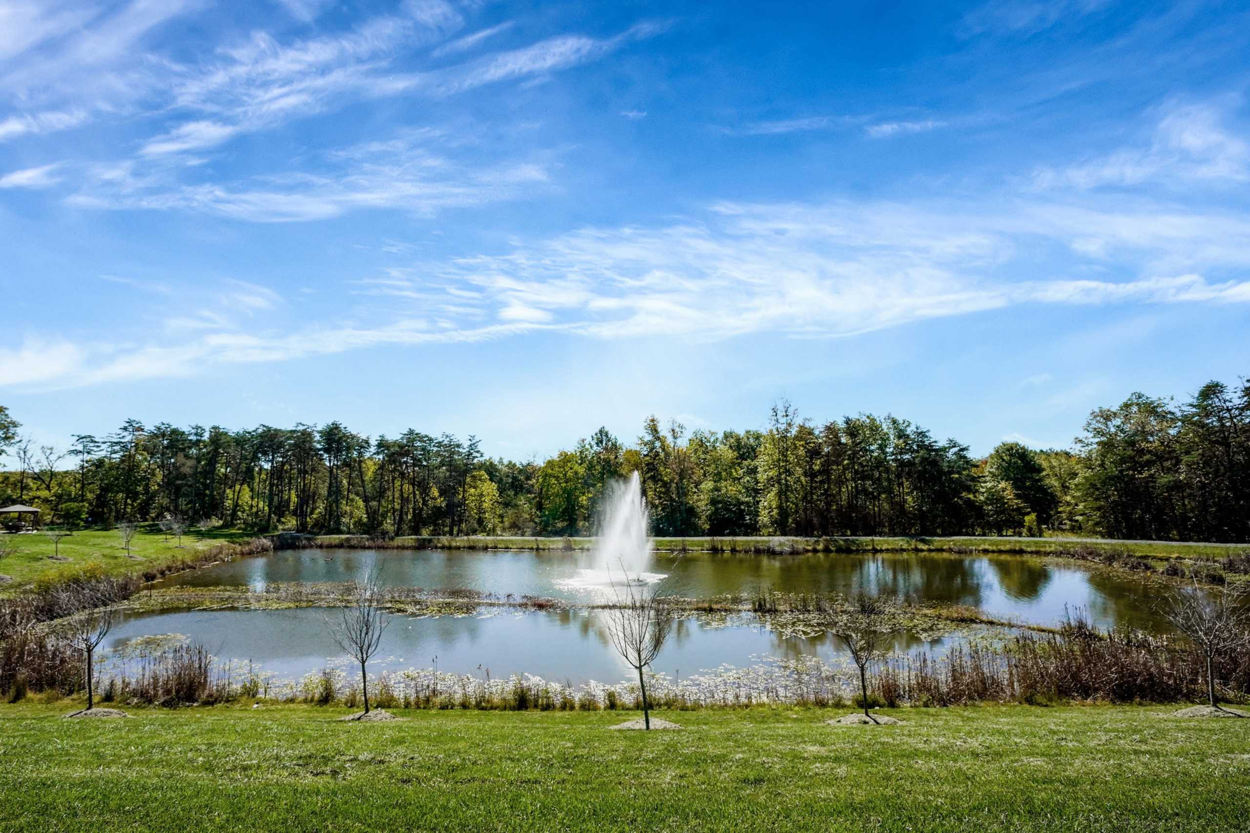 Carter's Mill Active Adult Community