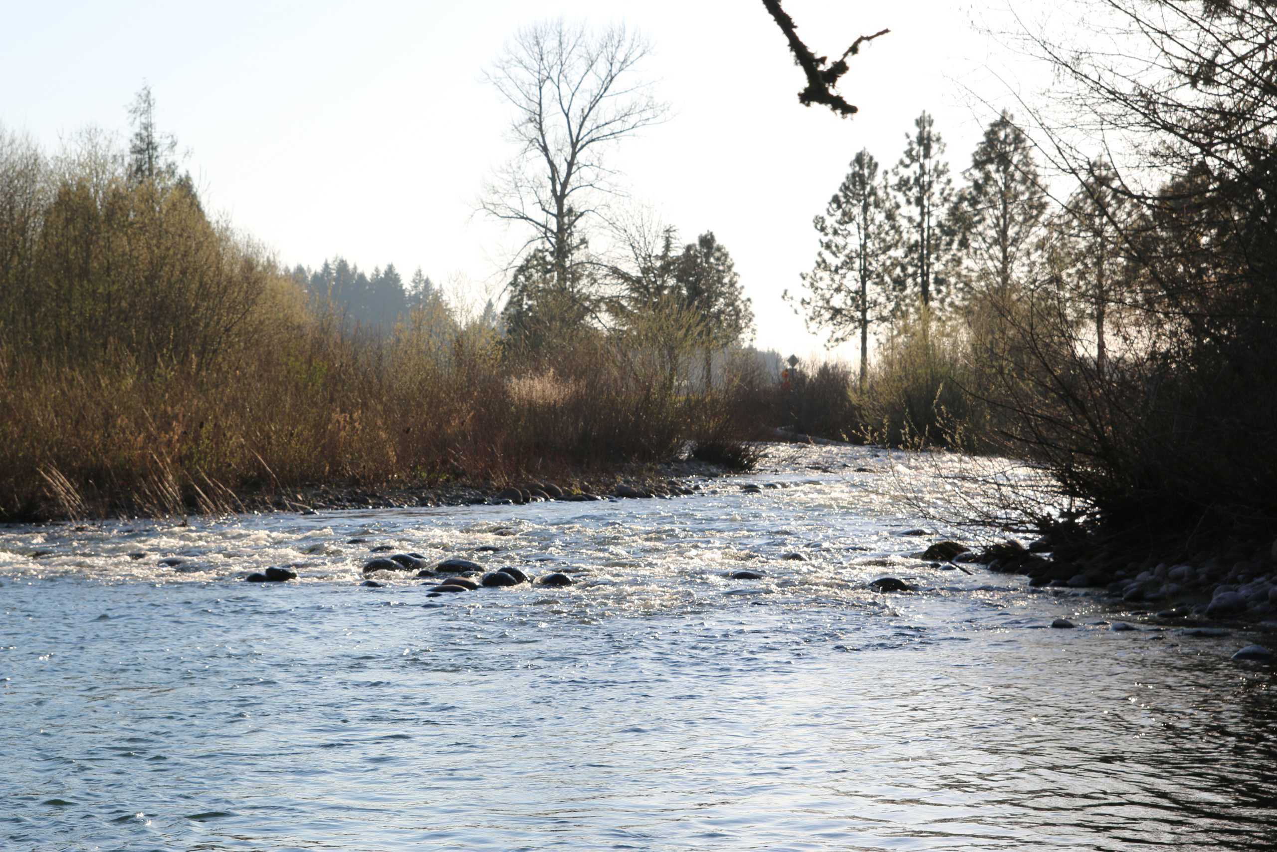 Crabtree Creek, Oregon