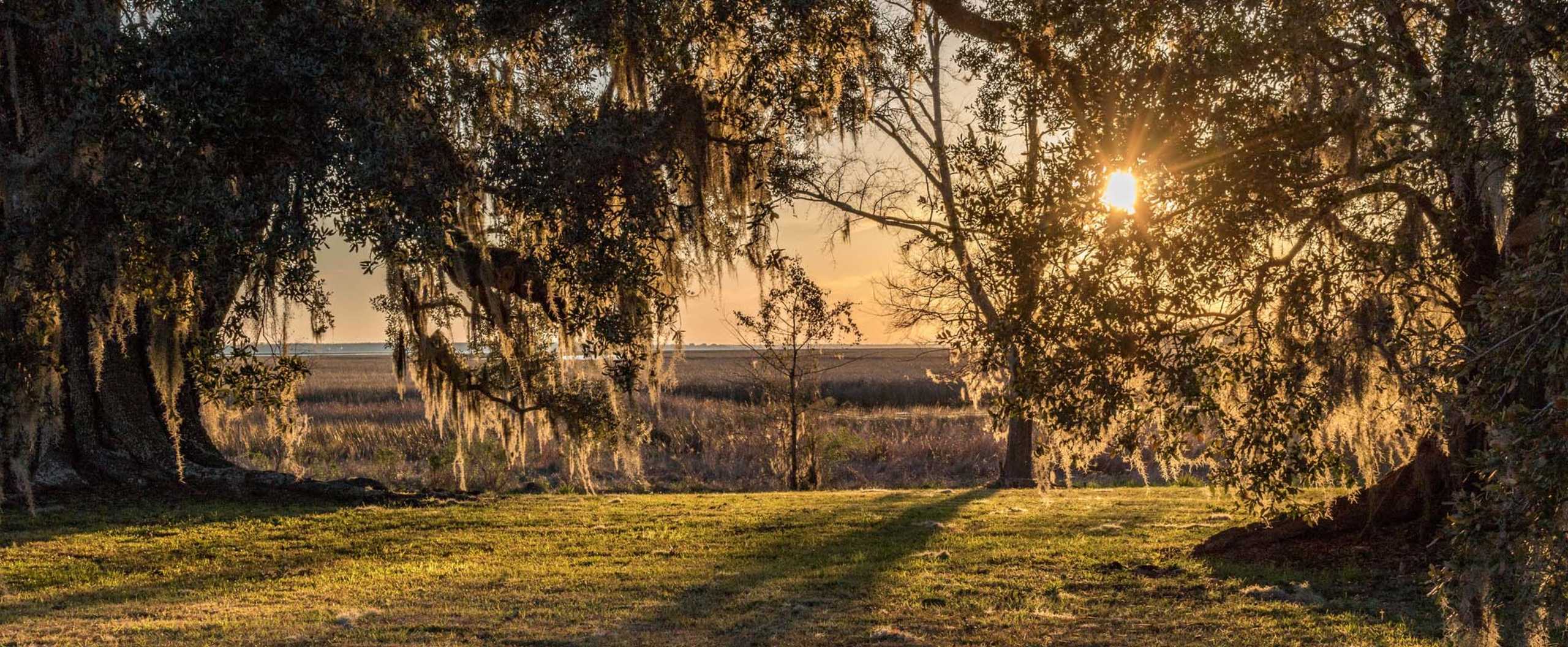 Oaks by JA Sawyer Imaging