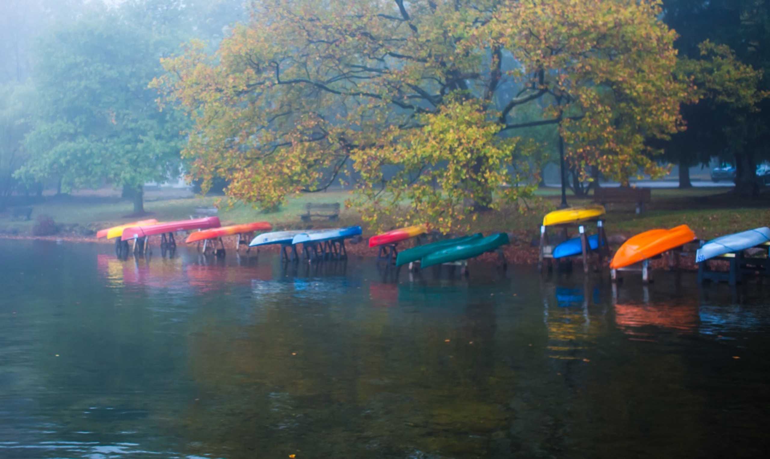 You won't believe it's real