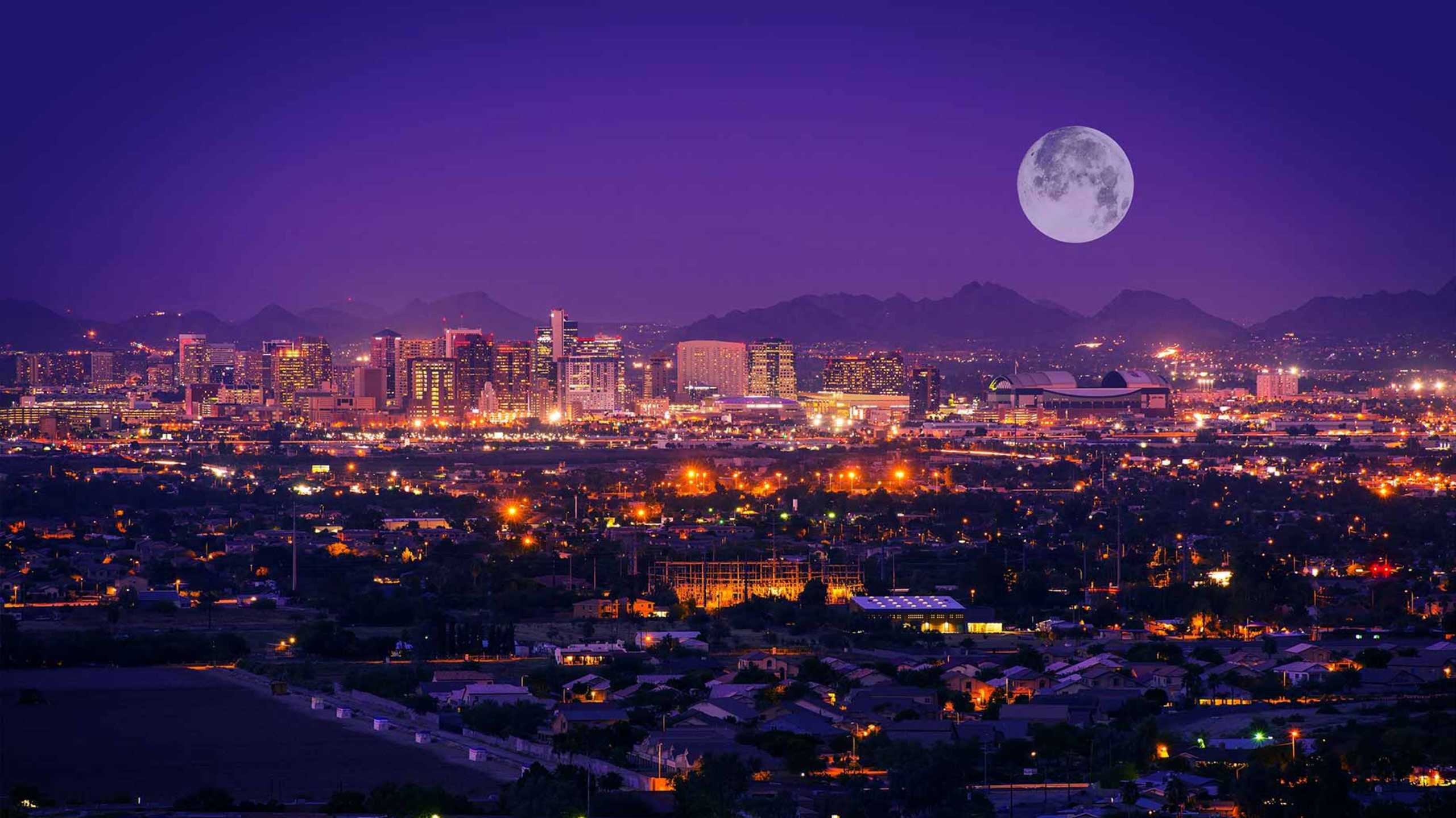 Phoenix by moonlight