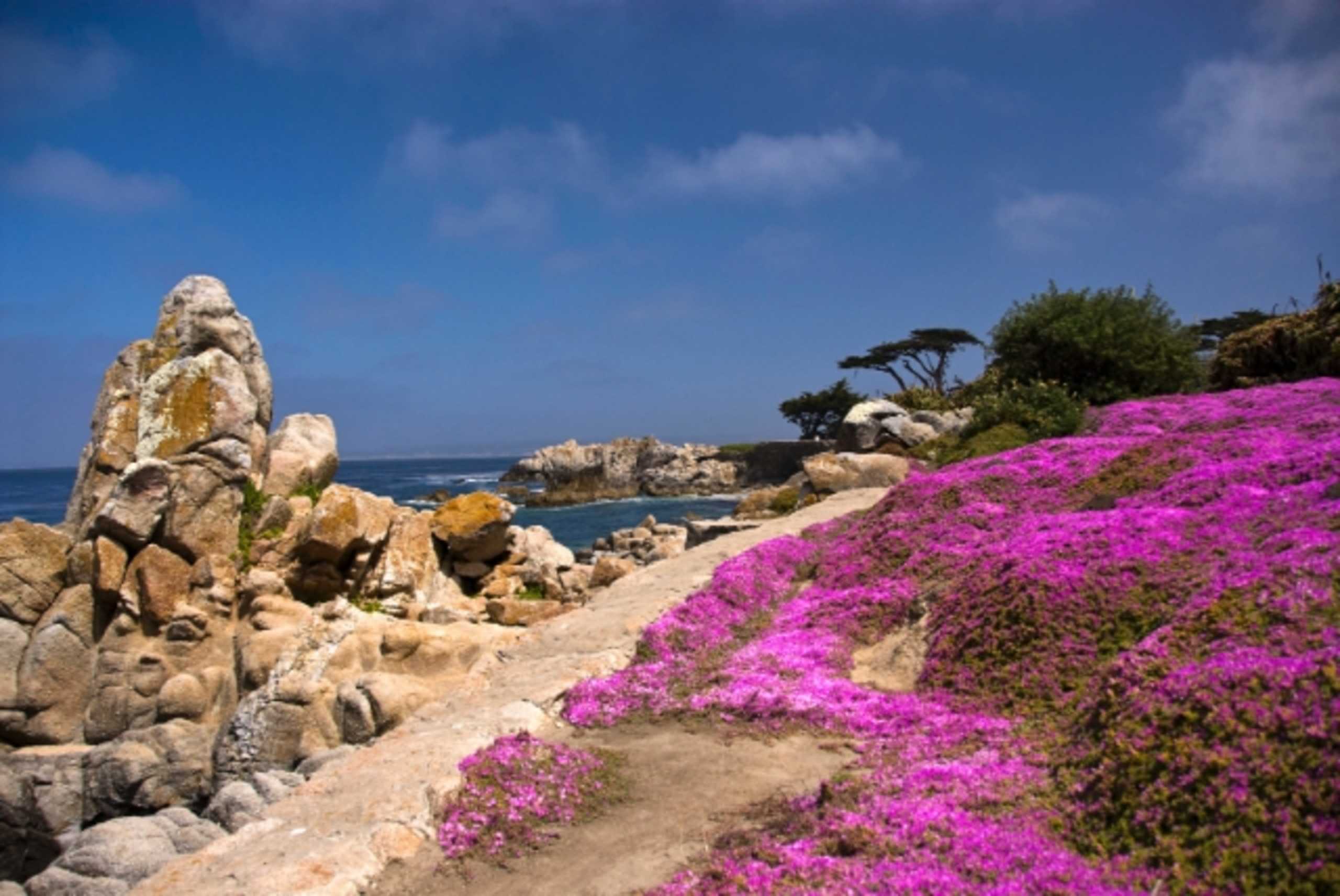 Lovers Point - Pacific Grove