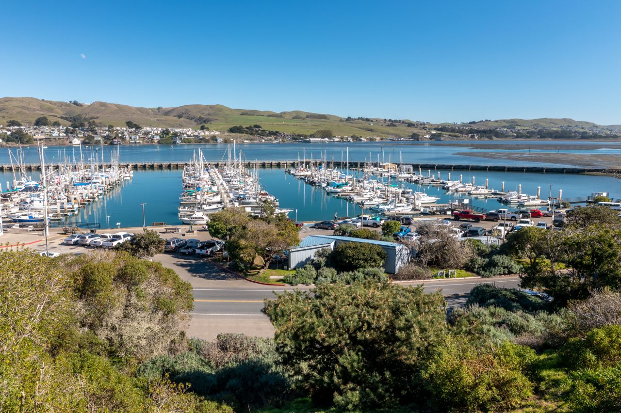 Bodega Bay Parcel