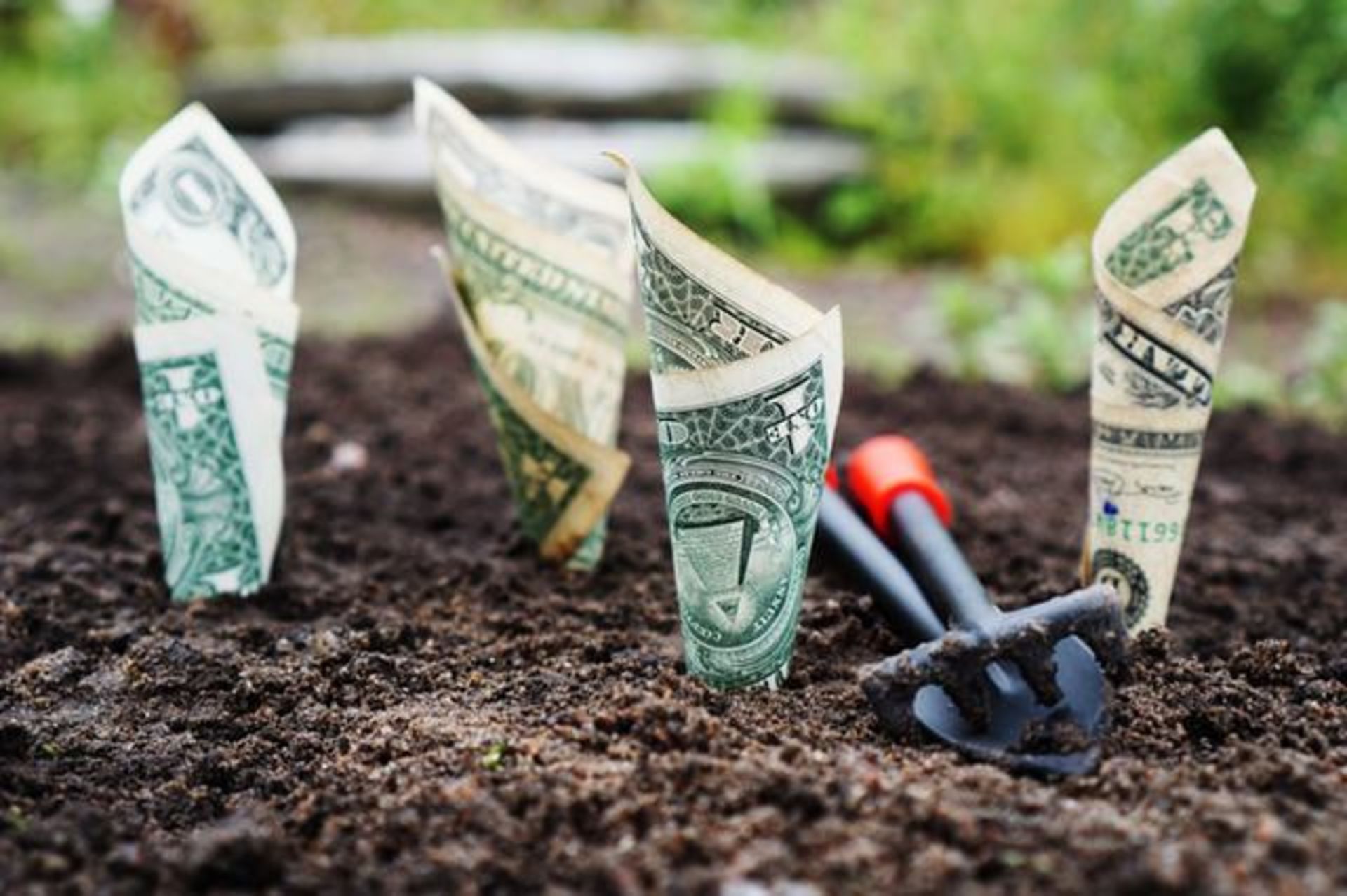 How to Effortlessly Save for a New Charlotte NC Home