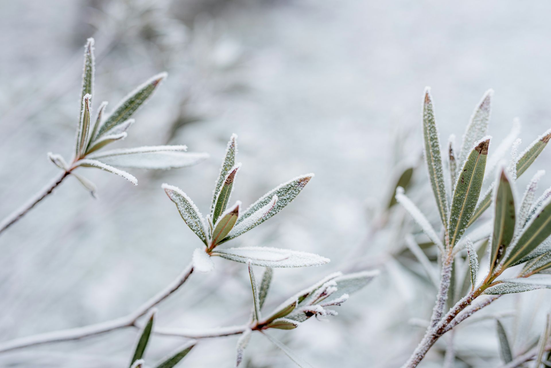 Prep Your Yard for Winter &amp; Cross It Off Your List