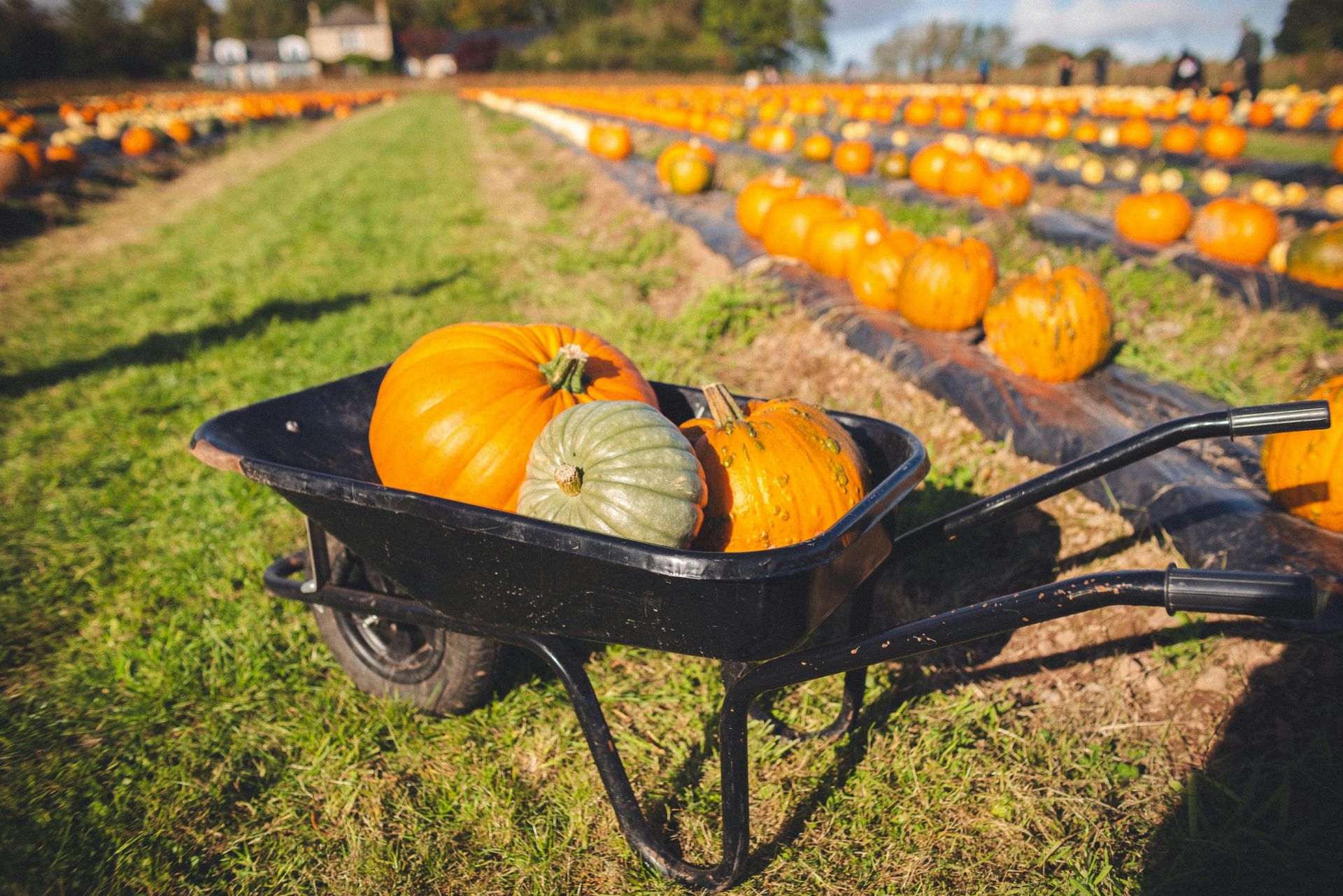 Top Local Businesses to Support in Fort Wayne This Fall