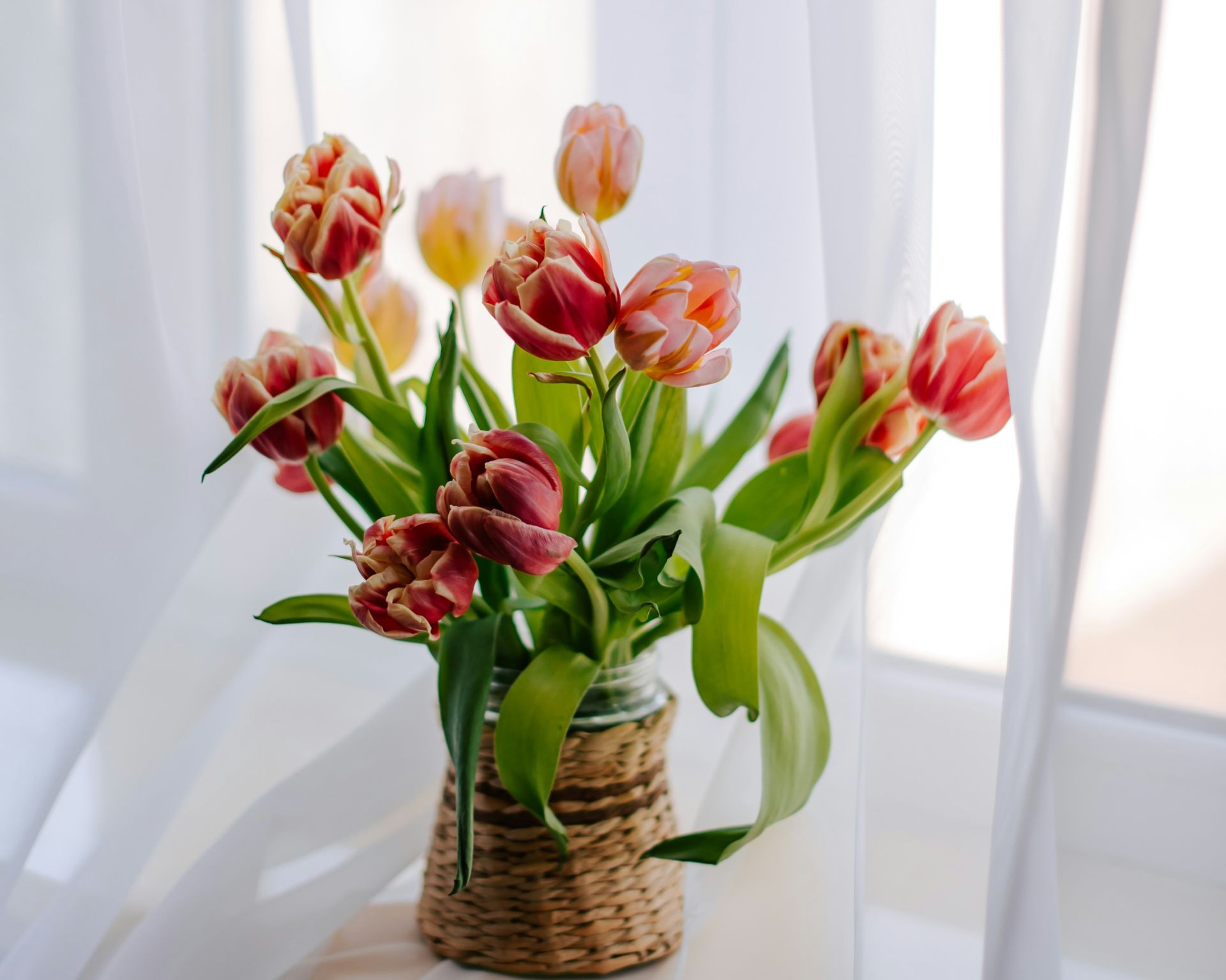 Finding Flow: Introducing the Transformative Power of Feng Shui to Fort Wayne