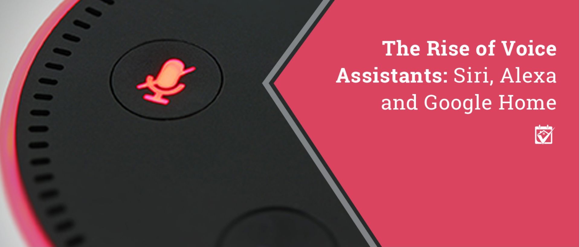 Which VI Personal Assistant is best for you?
