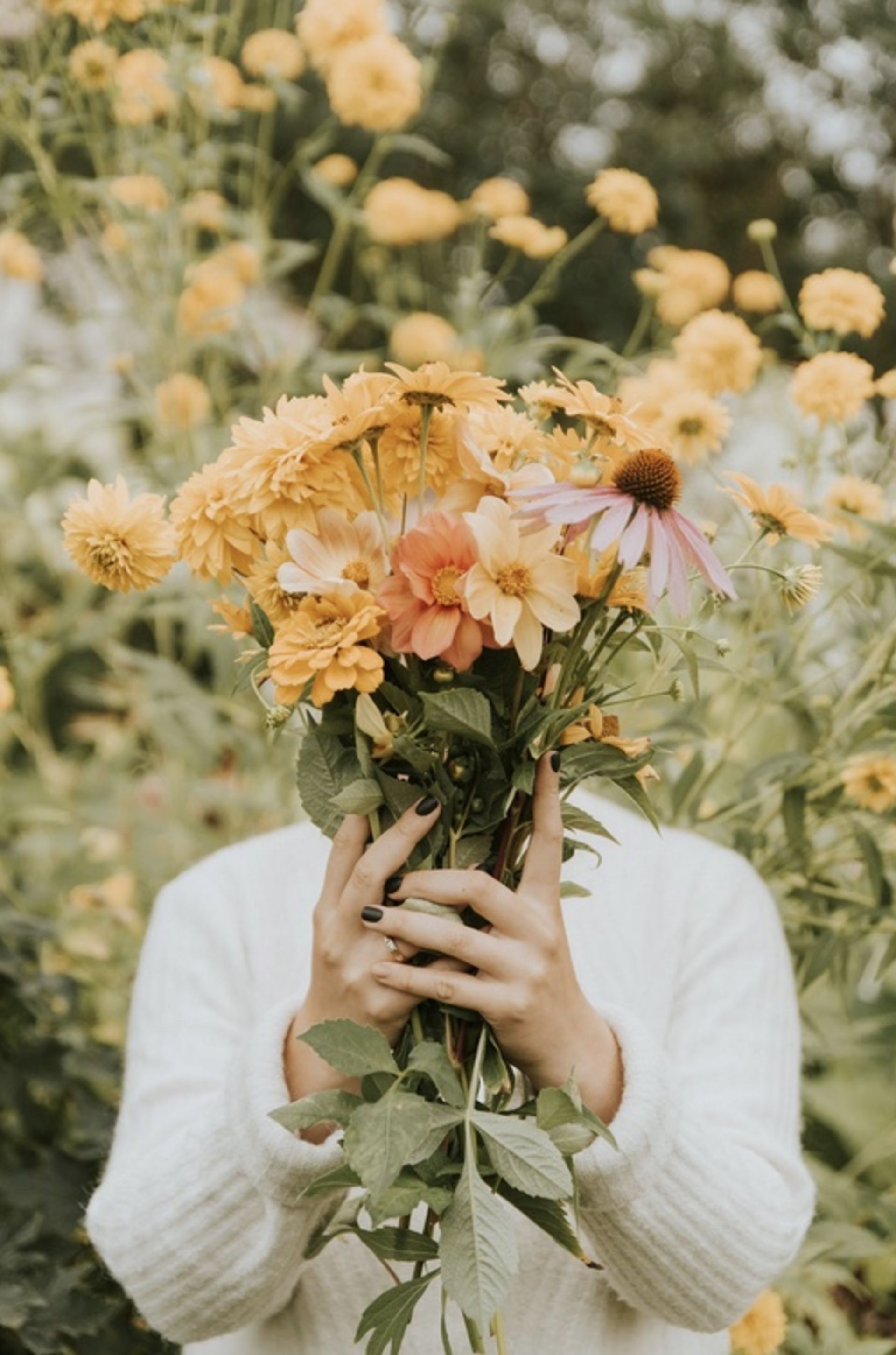 Top Resources for Seniors in the Columbia SC Area