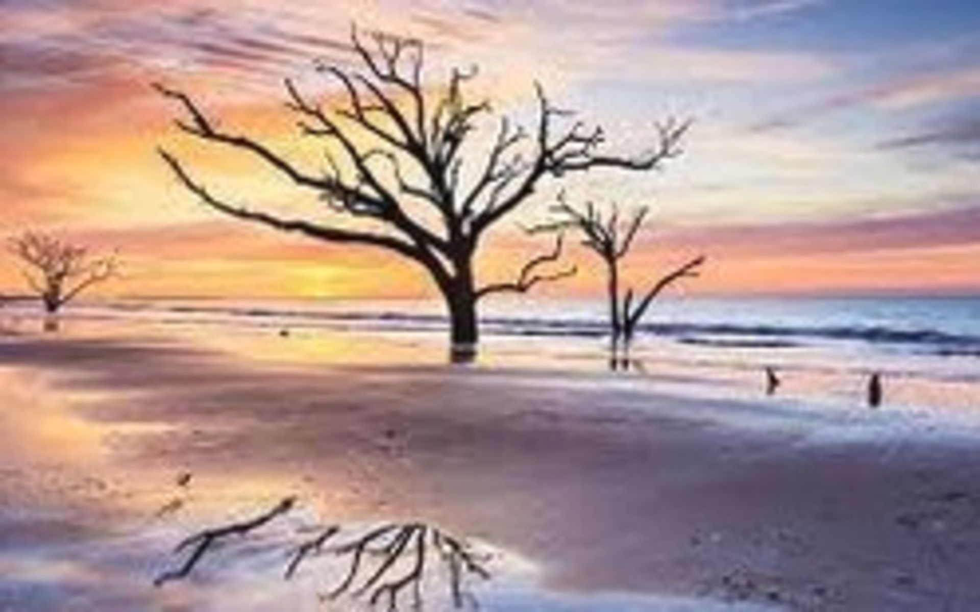 The Ins and Outs of Short Sale Pre-Foreclosure in South Carolina