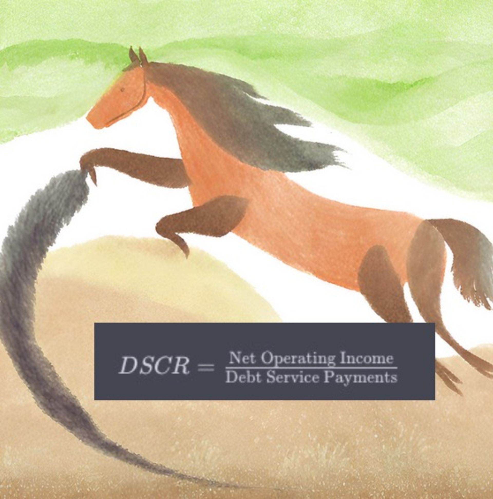 The Power of Debt Service Coverage Ratio for Non-Owner-Occupied Properties