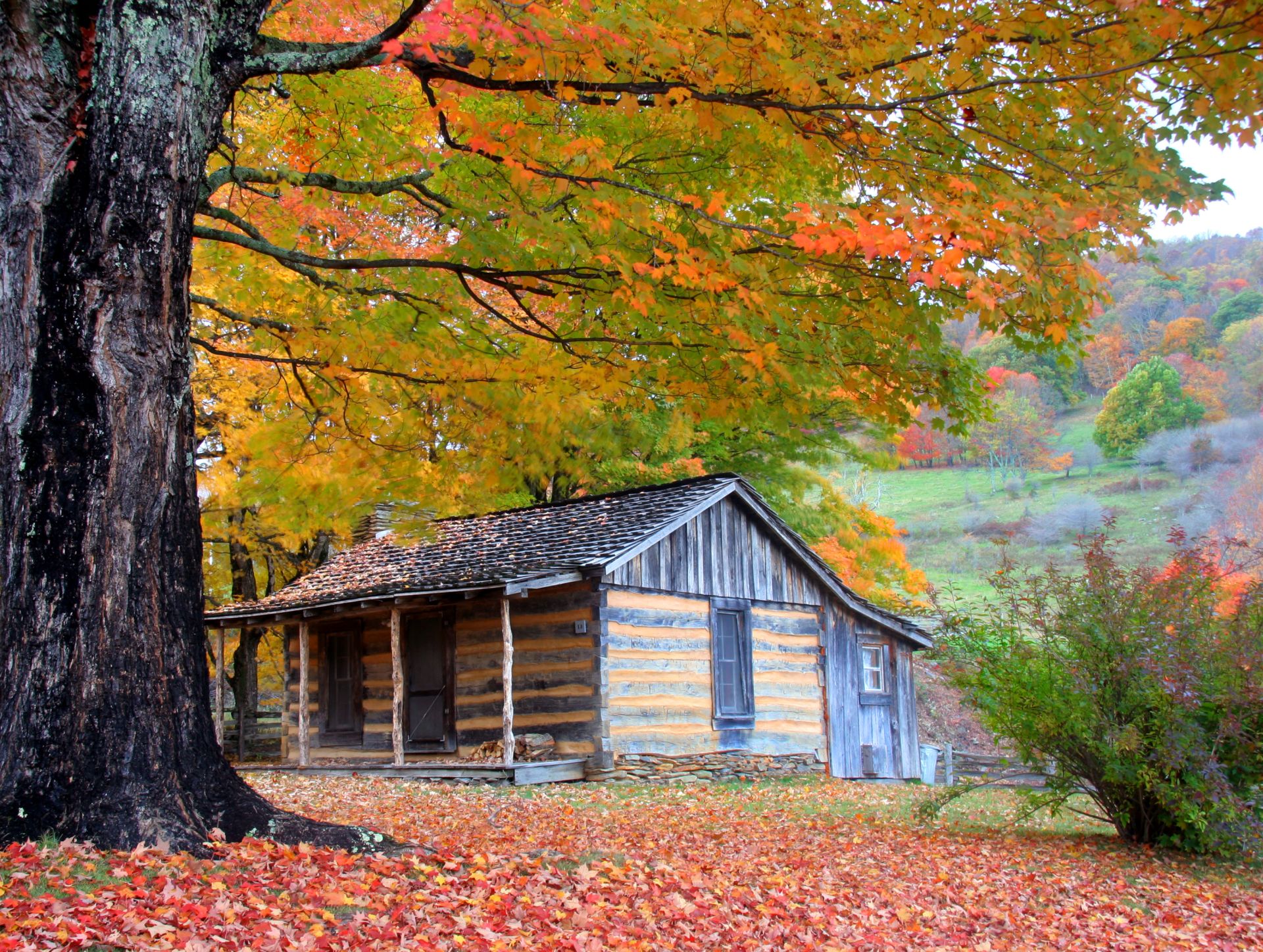 Earlysville Home Sales – A Decade Snapshot