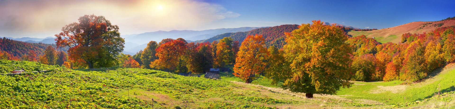 Low Inventory Continues… Advice for Home Sellers in Charlottesville for Fall 2016