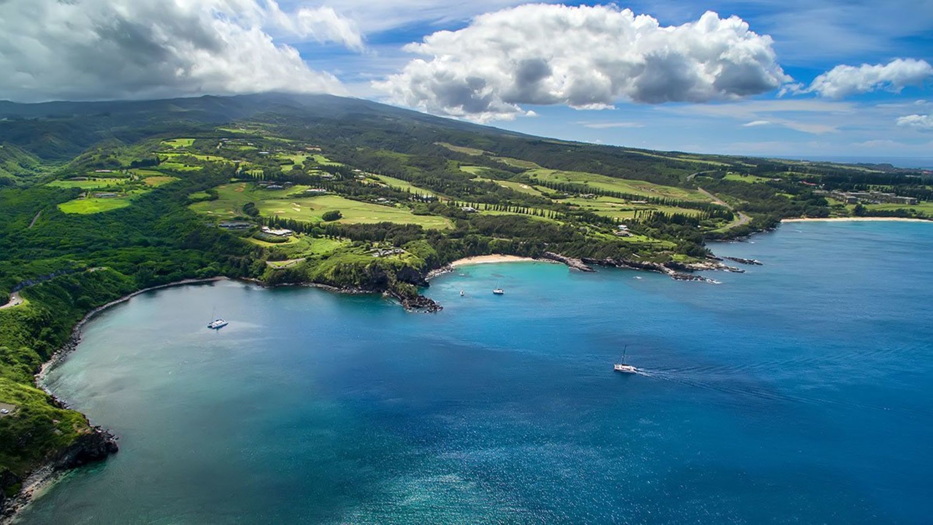 Relocating to Maui