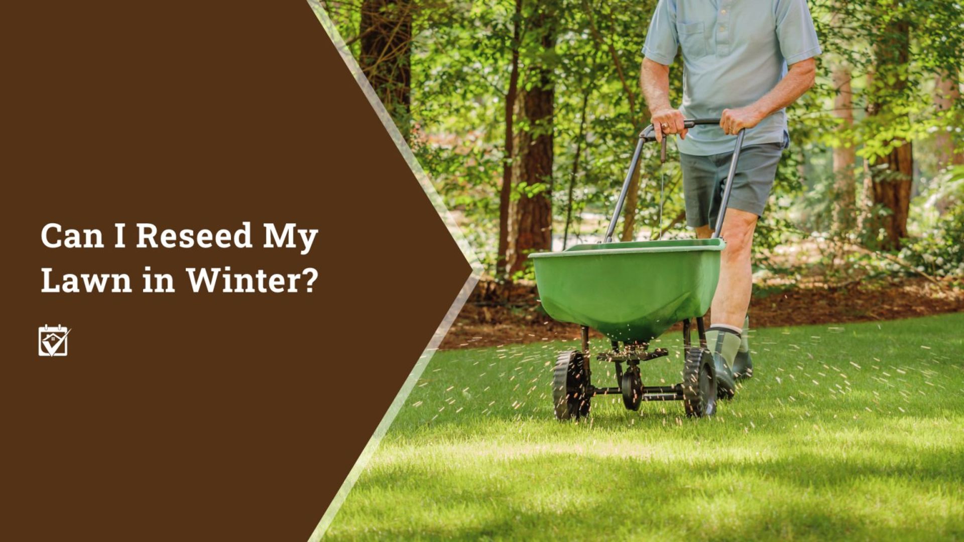 Can I Reseed My Lawn in Winter?