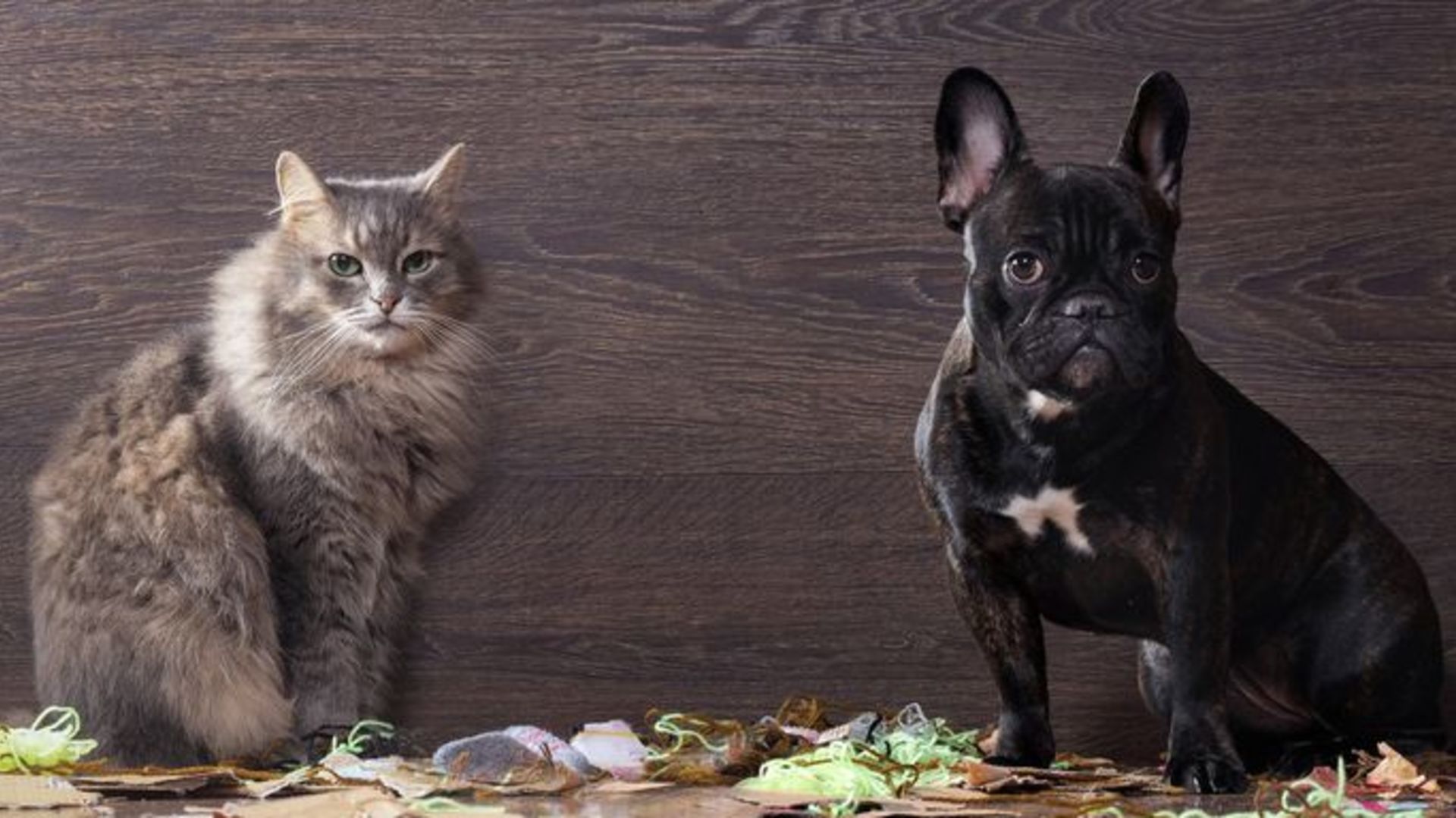 True Tales of Top Deal Breakers That Turn Off Home Buyers