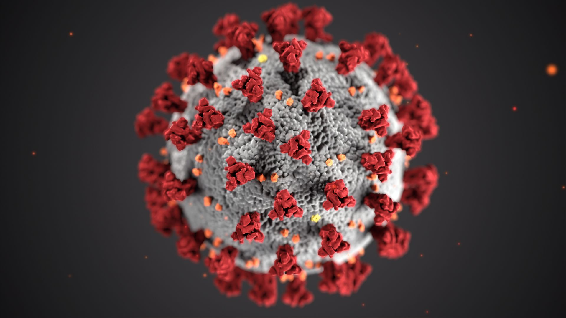 Coronavirus (COVID-19): A Guide for Everyone