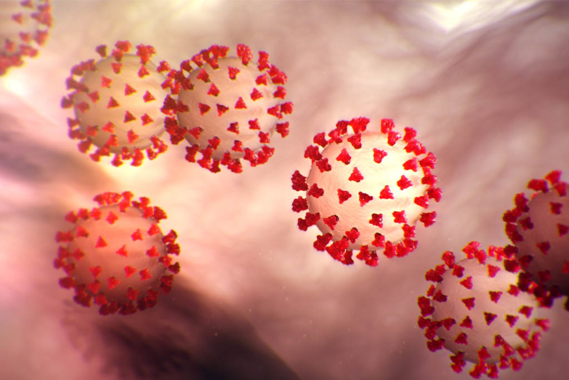 What You Need to Know About Cleaning for the Coronavirus