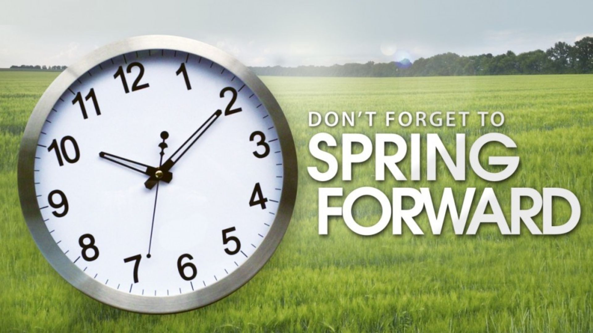 SPRING FORWARD INTO YOUR NEW HOME