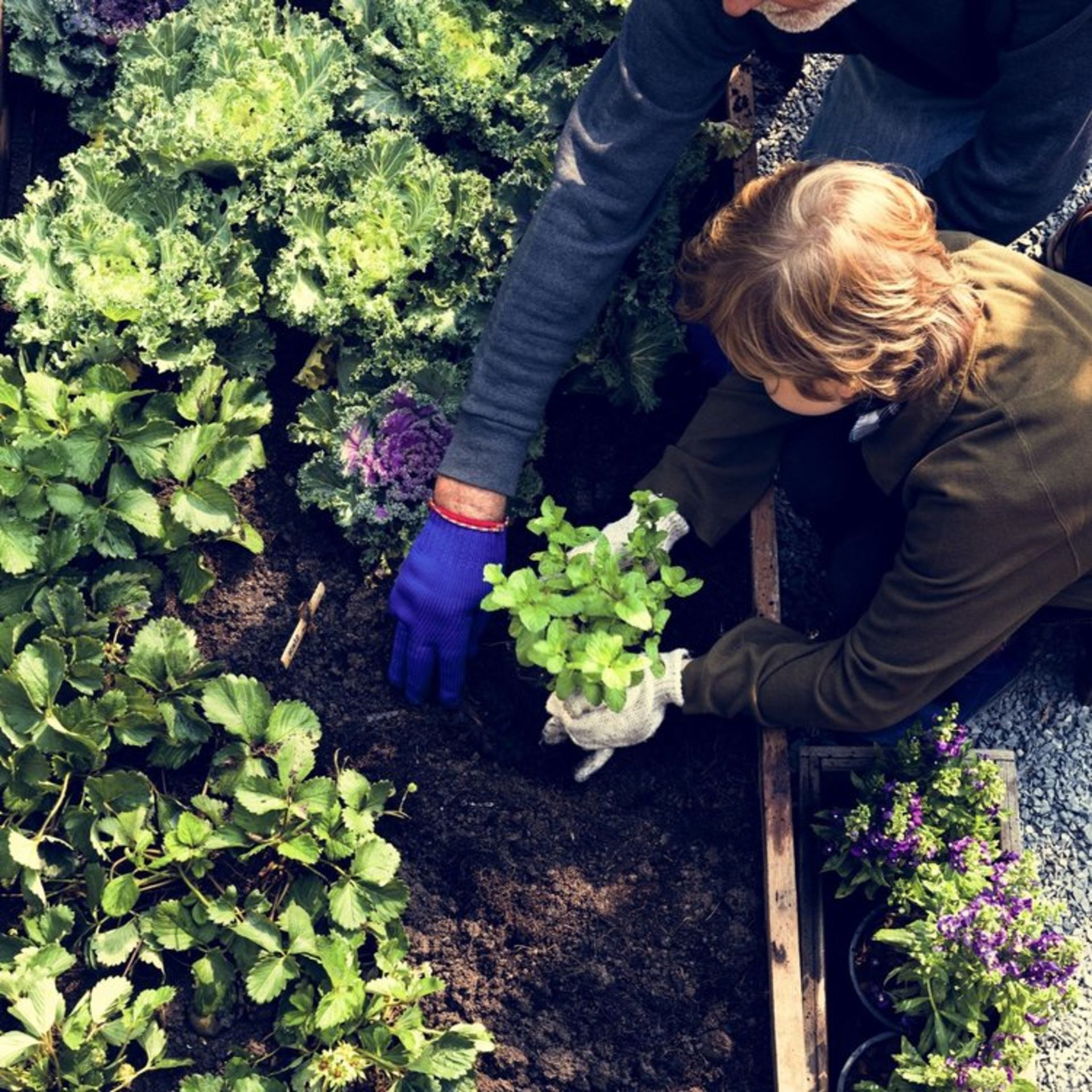 How to Be Eco-Forward at Home