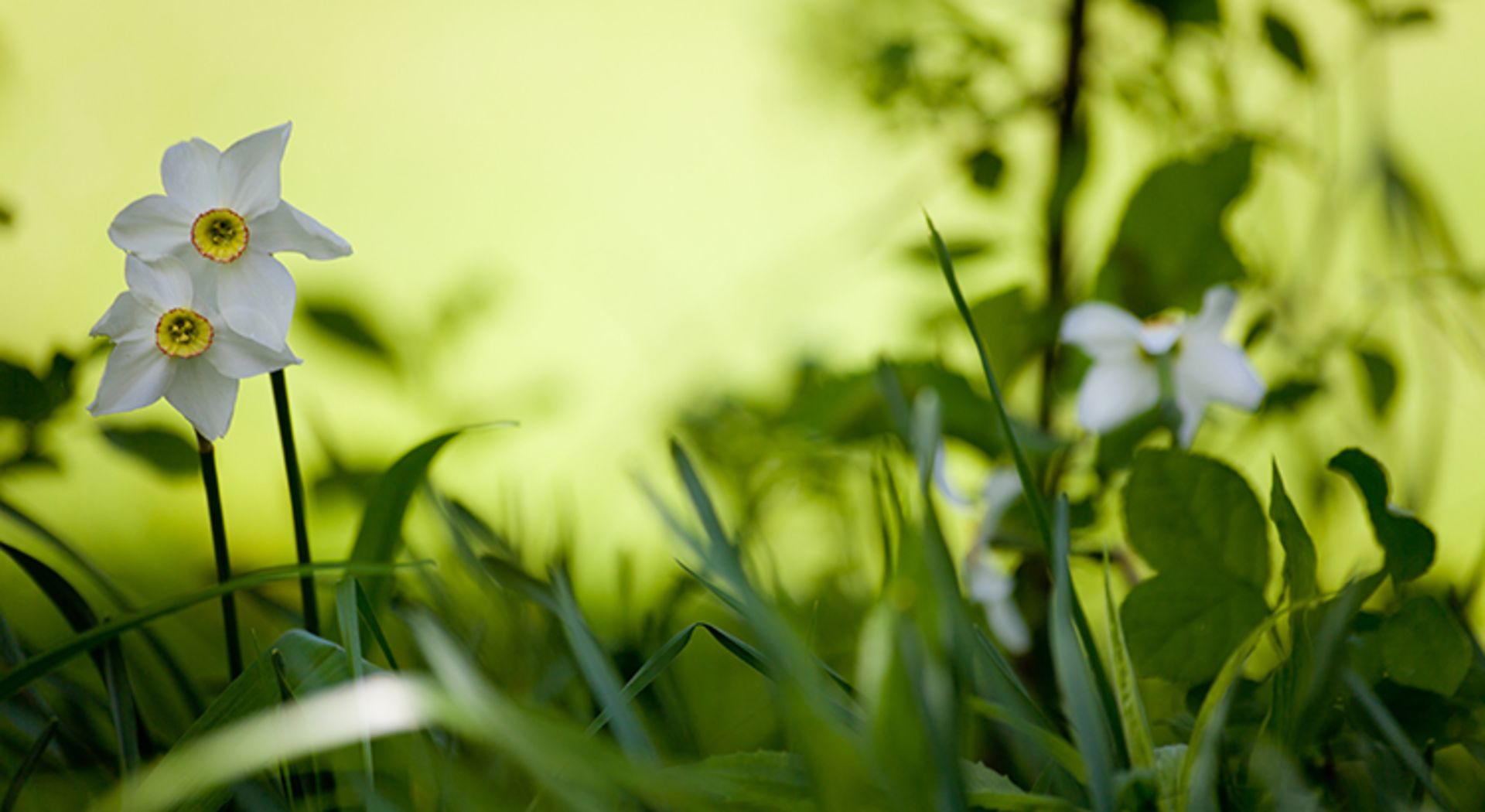 How Interest Rates Can Impact our Monthly Housing Payments