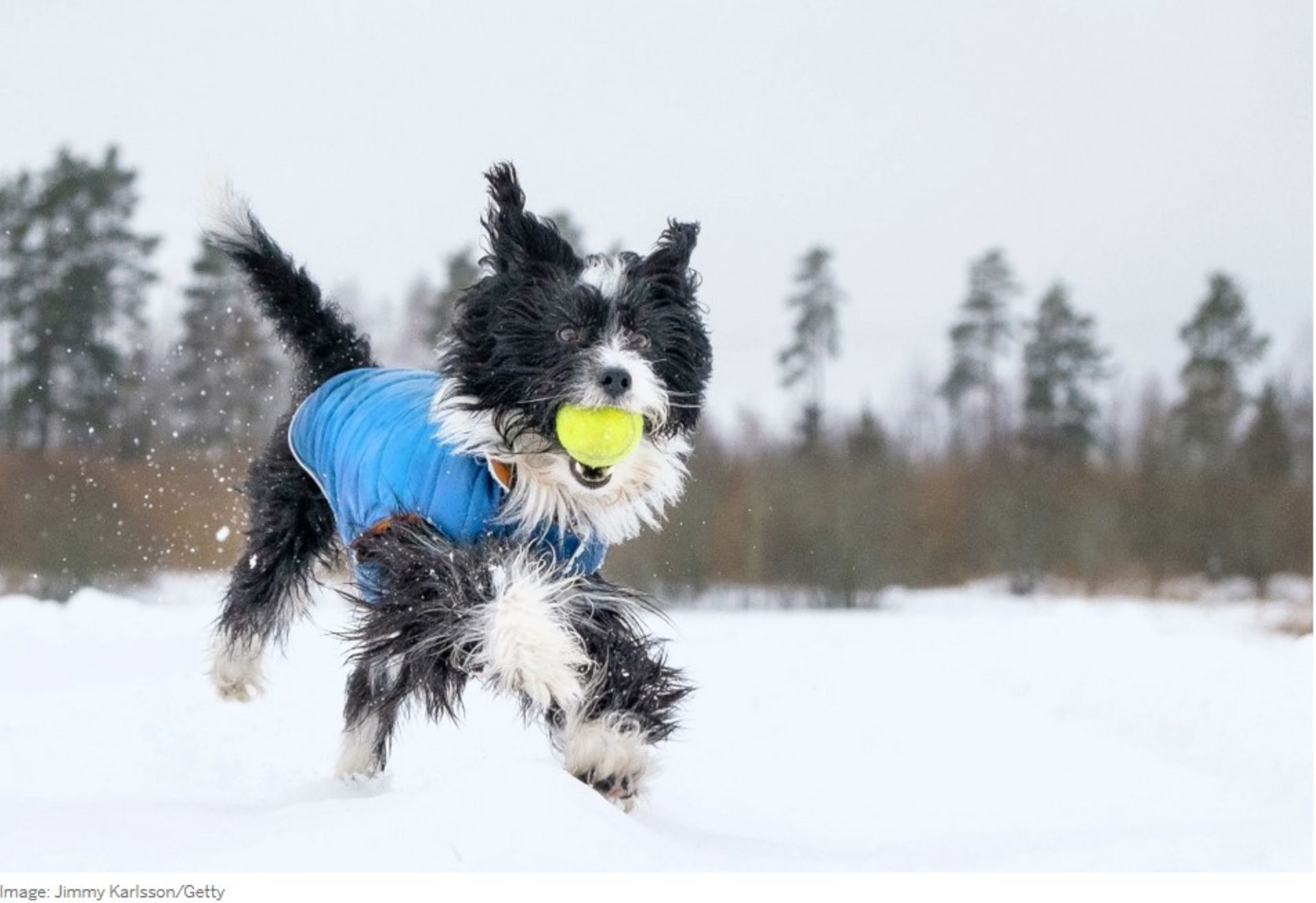 12 Simple Home Repair Jobs to lift You Out of Winter’s Funk