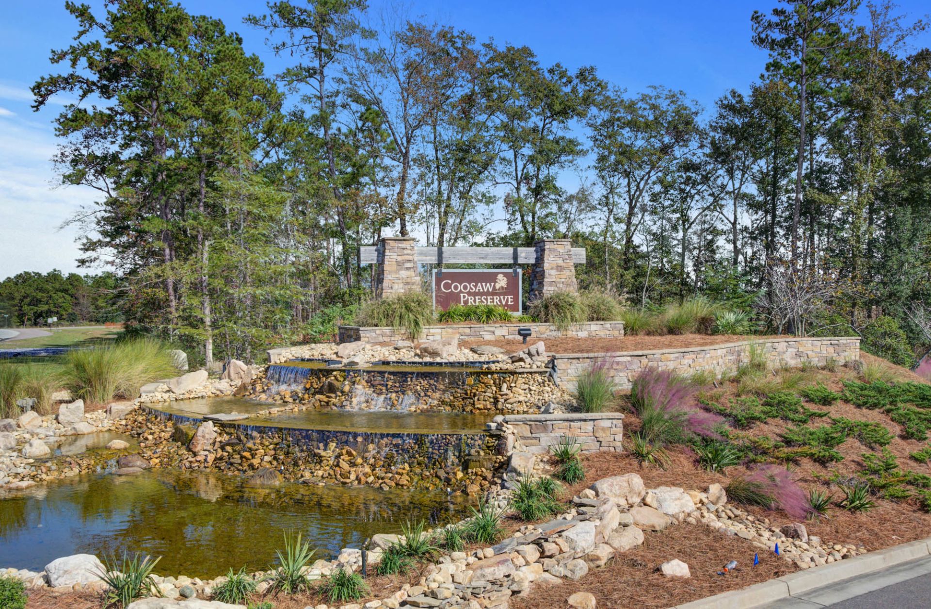 Coosaw Preserve