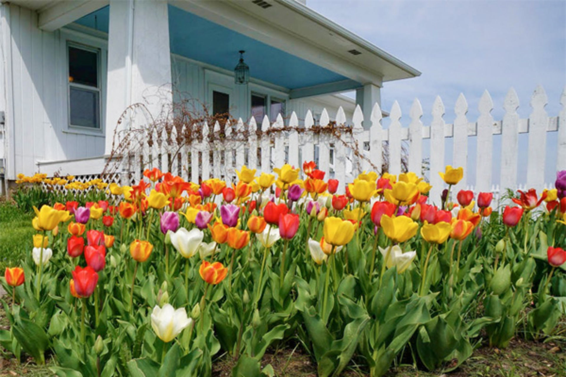 5 Great Projects for Selling in Spring