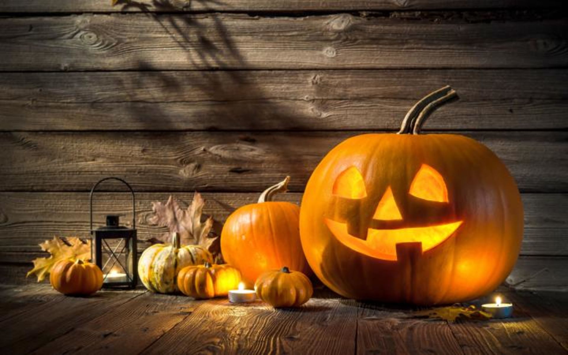 Trick or Treat Events &#8211; Snohomish County 2019