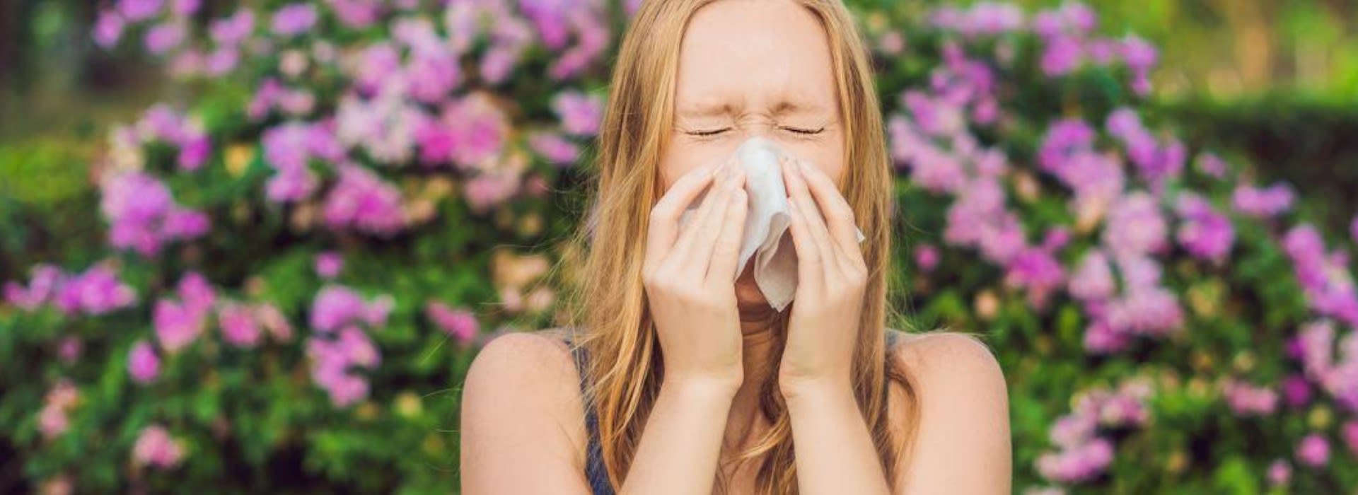 Stay Healthy During the Spring Allergy Season