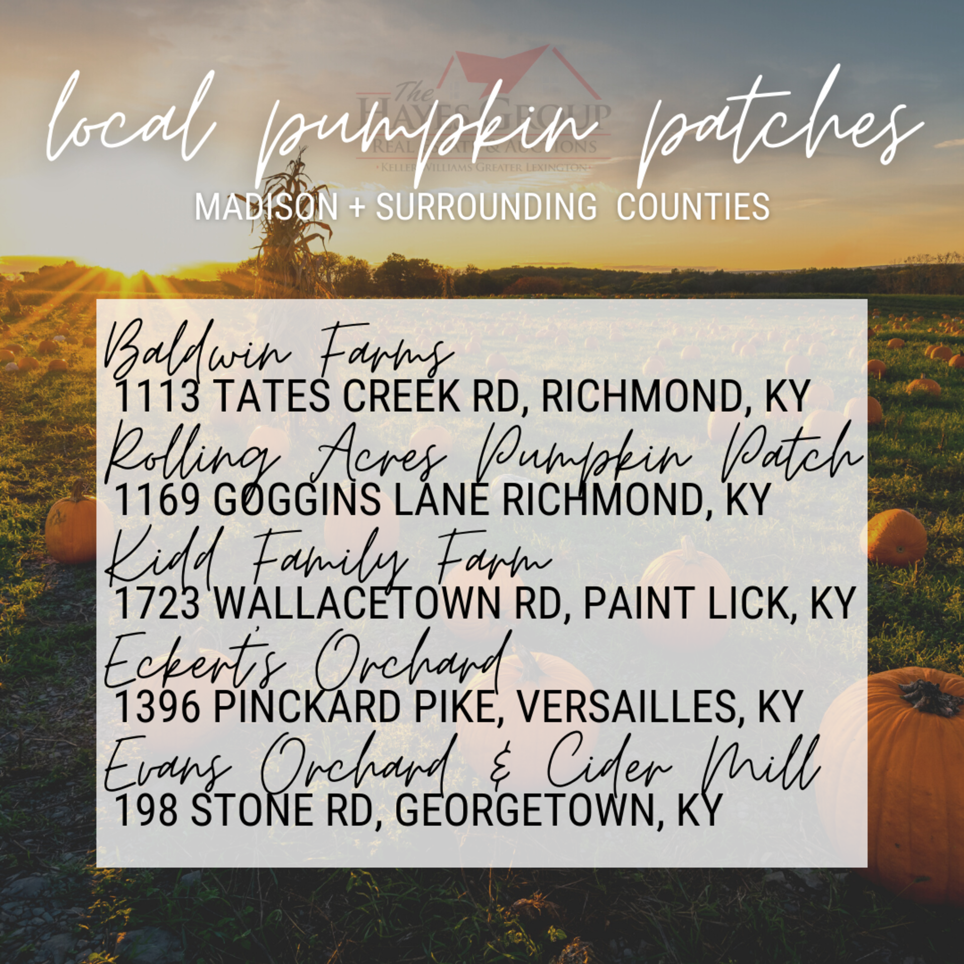 Local Pumpkin Patches