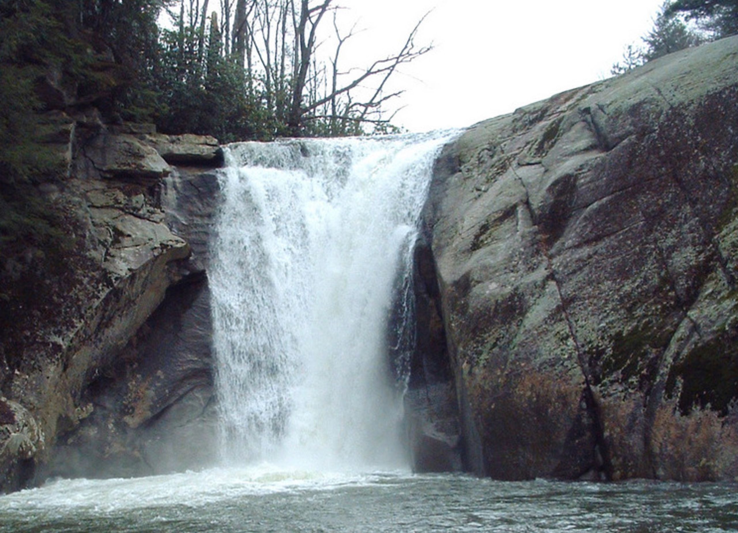 Banner Elk Nc Rouleau Real Estate Group