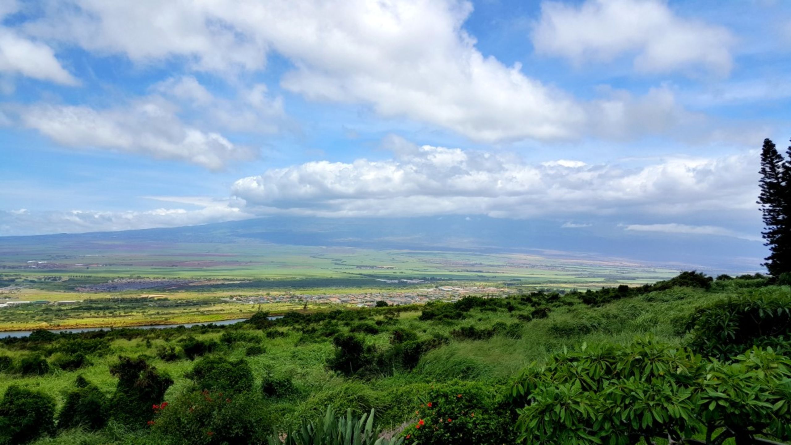 Central Valley and Haleakala, Maui