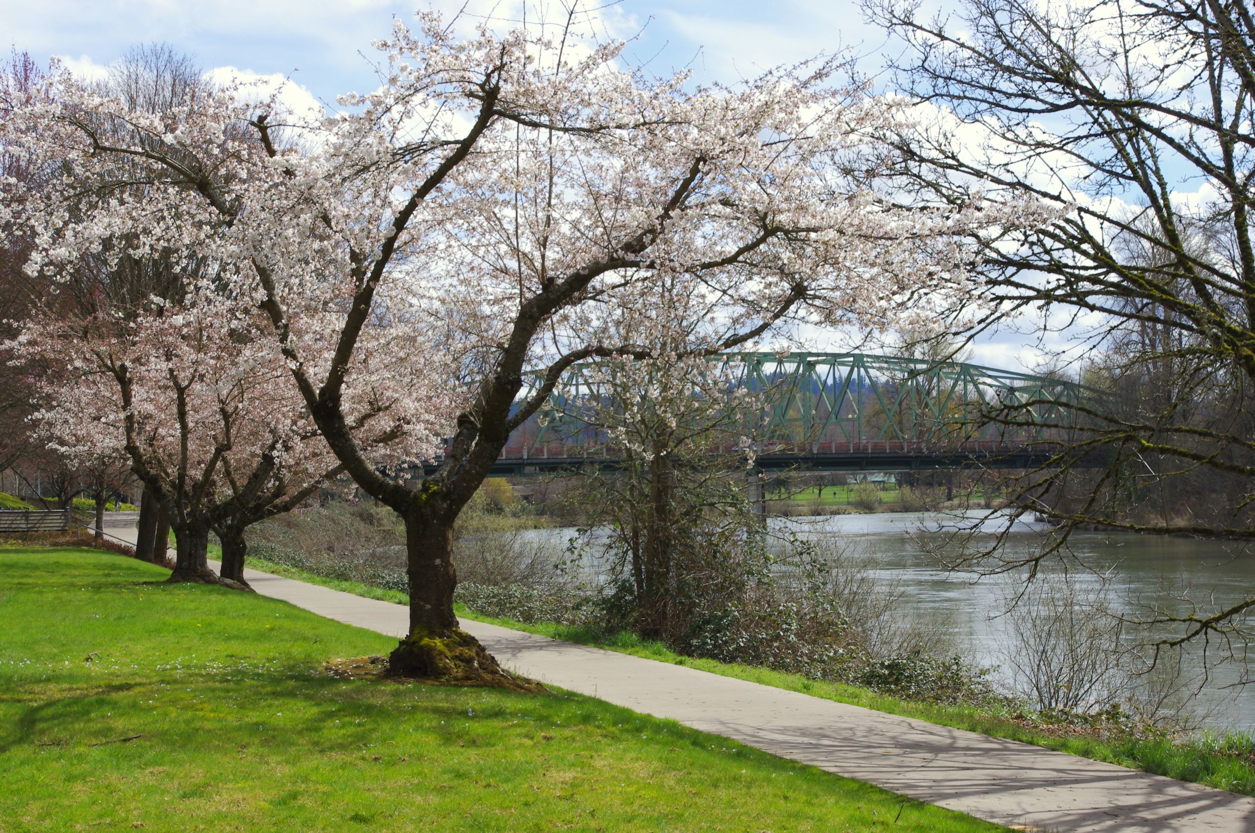 Ferry Street Bridge Neighborhood Golden Realty See the full schedule & book your trip today! ferry street bridge neighborhood
