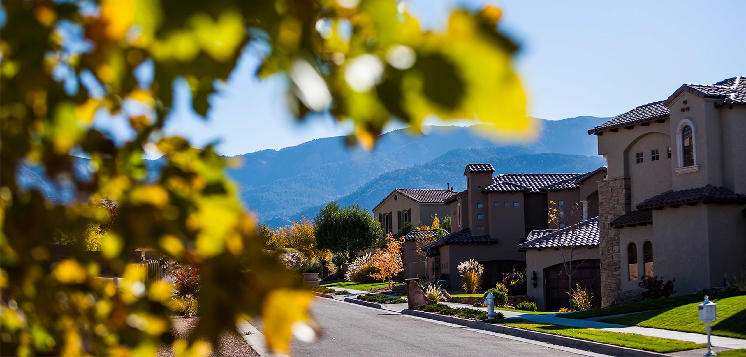 Realty One of New Mexico